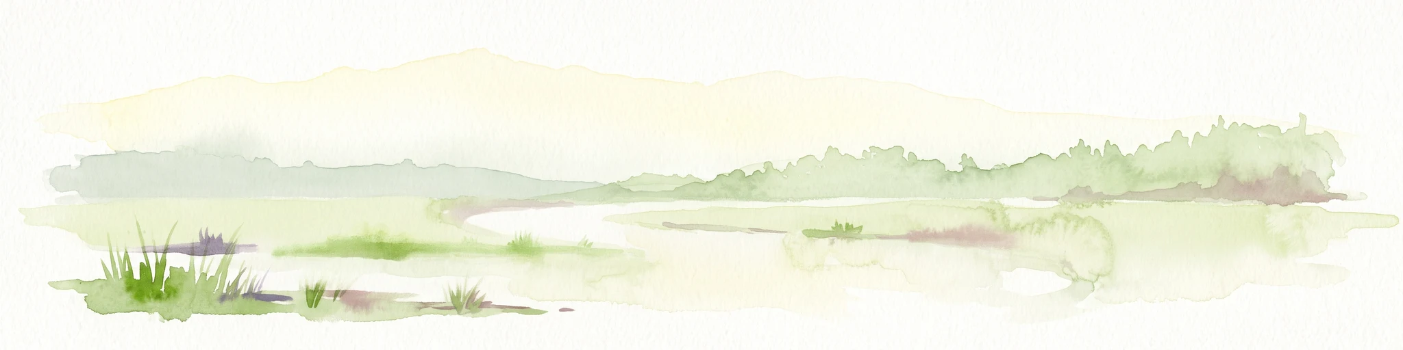 A soft watercolor painting depicting a calm river winding through a green, hazy floodplain environment.