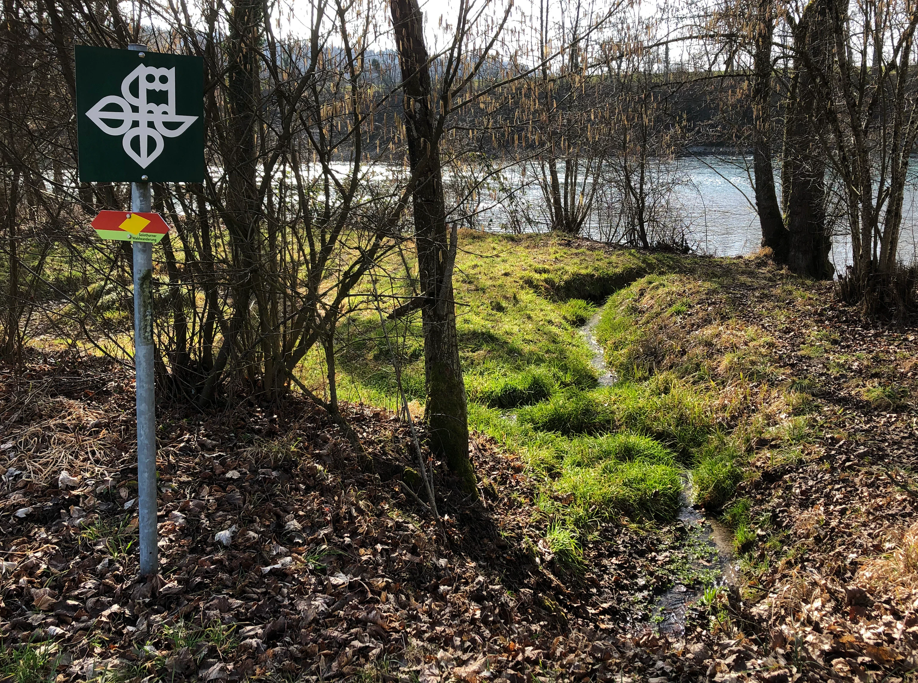 Un cartel cuadrado de señalización de reserva natural verde con un emblema estilizado de búho fijado a un poste metálico, situado junto a un pequeño arroyo estrecho que fluye entre el bosque, con el río Aare más ancho visible al fondo.