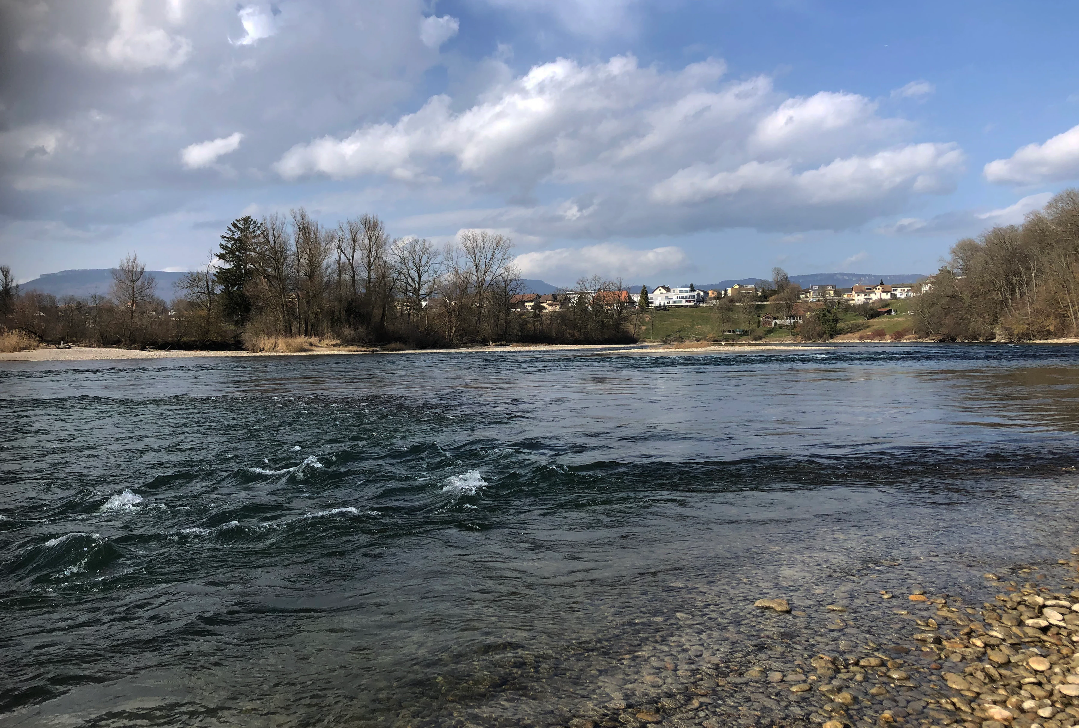 Una vista gran angular del río Aar con rápidos en primer plano y un banco de grava a la derecha, árboles bordeando la orilla lejana y un pueblo visible a lo lejos bajo un cielo nublado.