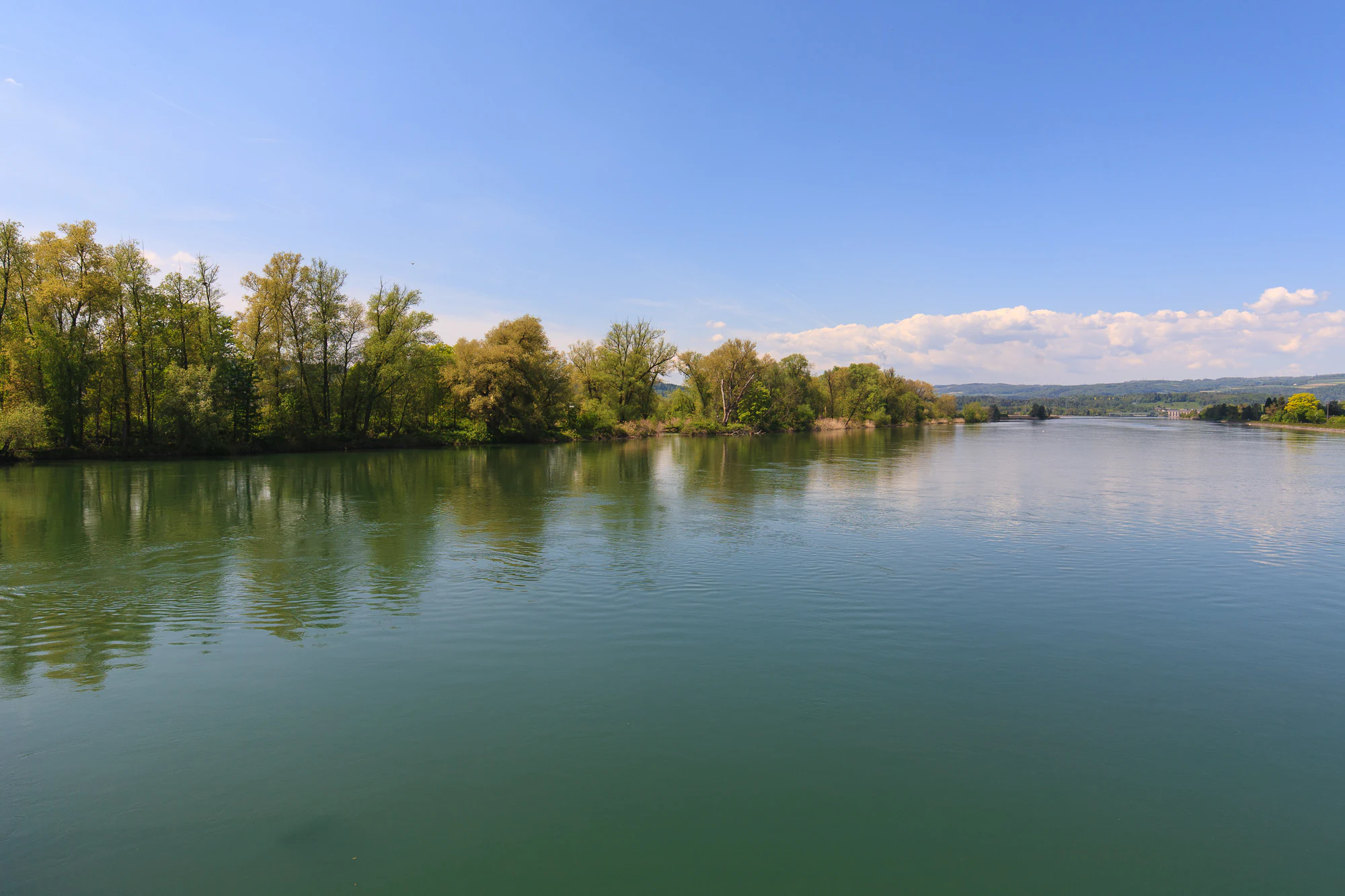Un amplio y tranquilo embalse que refleja un cielo azul despejado, bordeado por una densa hilera de árboles en la margen izquierda.