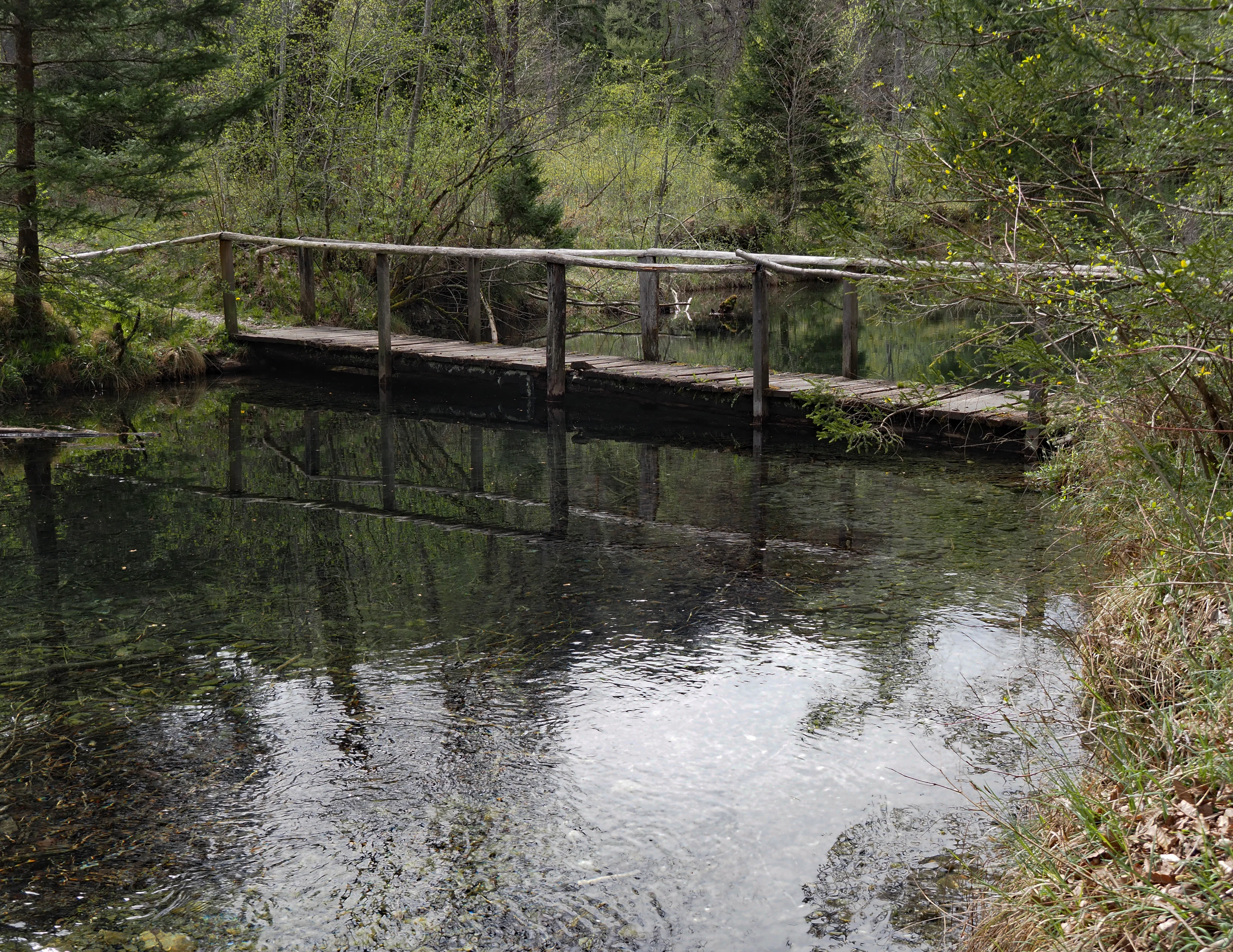 A simple wooden footbridge with a handrail spans a calm, clear stream surrounded by dense forest foliage.