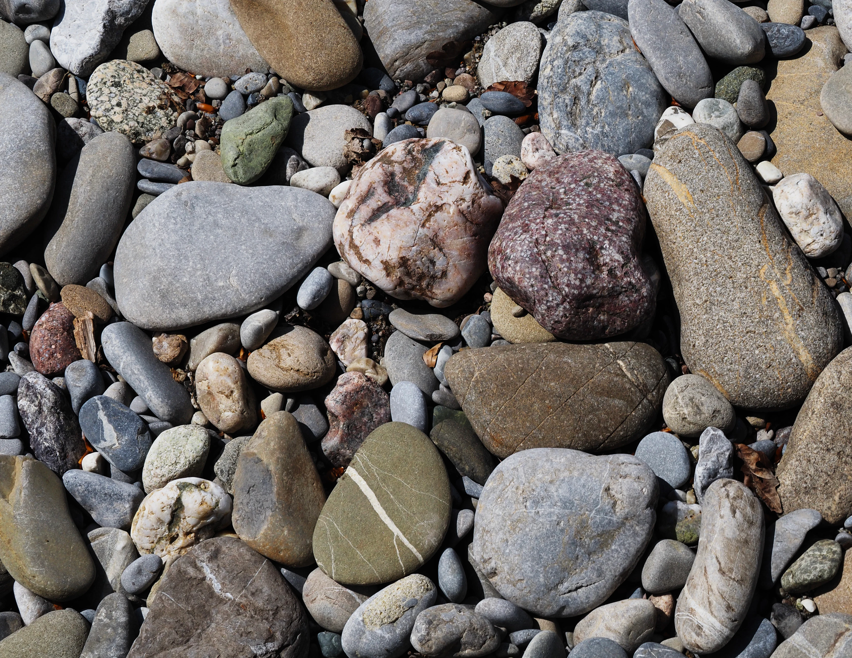 A high-angle, close-up photograph of assorted river stones and pebbles of various shapes, sizes, and colors covering the ground.