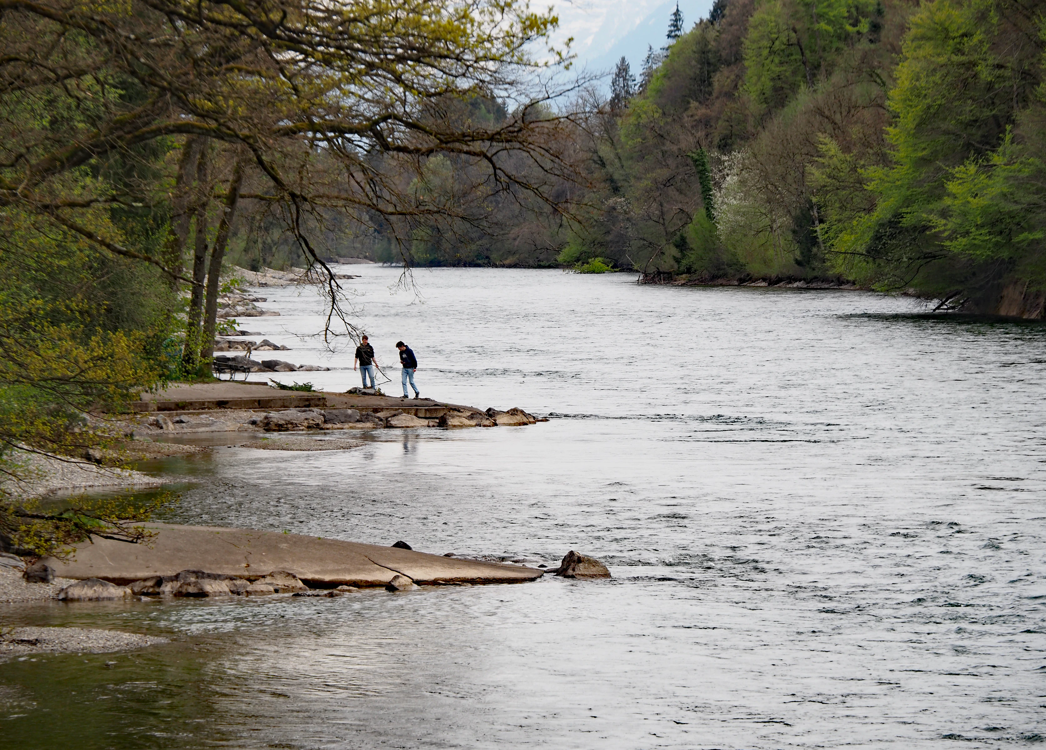A wide, flowing river with concrete groynes extending into the water along the bank, where two people are standing near trees in early spring.