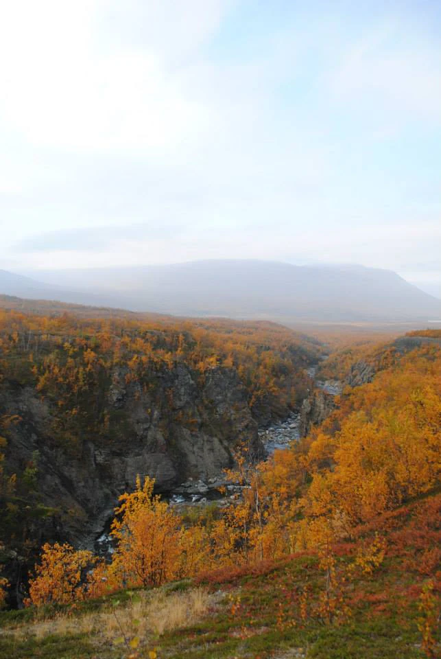 Wide landscape view of Nissånjokkens Canyon featuring a river flowing through rocky cliffs, surrounded by autumn-colored trees and distant mountains under a partly cloudy sky