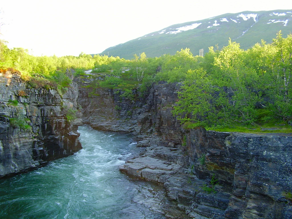 A river flowing through a rocky canyon with steep cliffs, green trees, and snow-capped mountains in the background