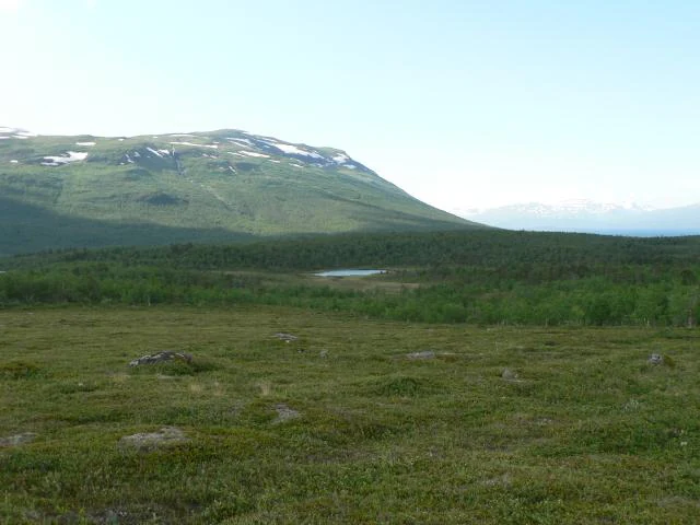 Grassy tundra landscape with a small lake and distant mountains with snow patches under a clear sky