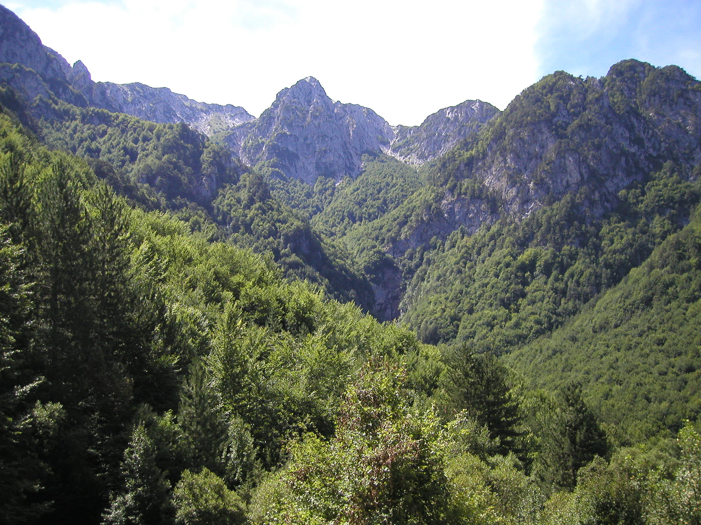 Wide view of mountainous valley with dense green forests and rocky peaks under clear sky