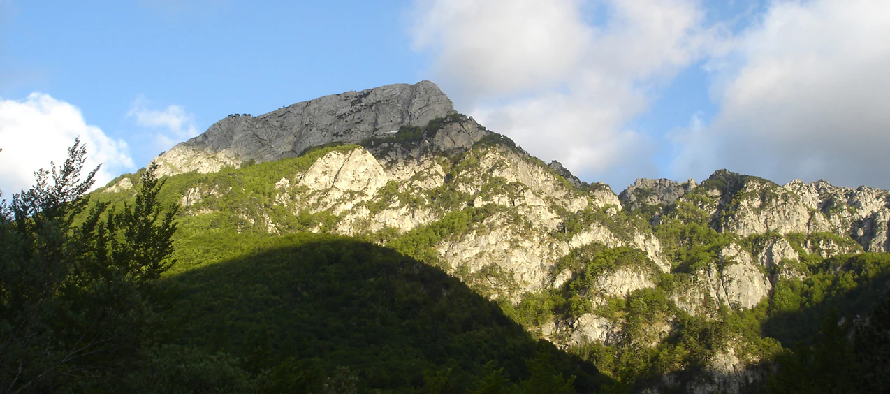 Rocky mountain peak with green slopes and trees in the foreground under a partly cloudy sky