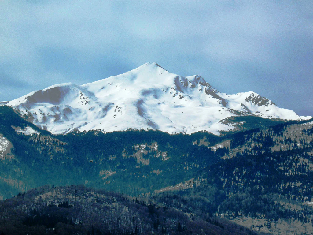 A wide shot of a rugged, snow-dusted mountain peak rising above a dense pine forest under a cloudy sky.