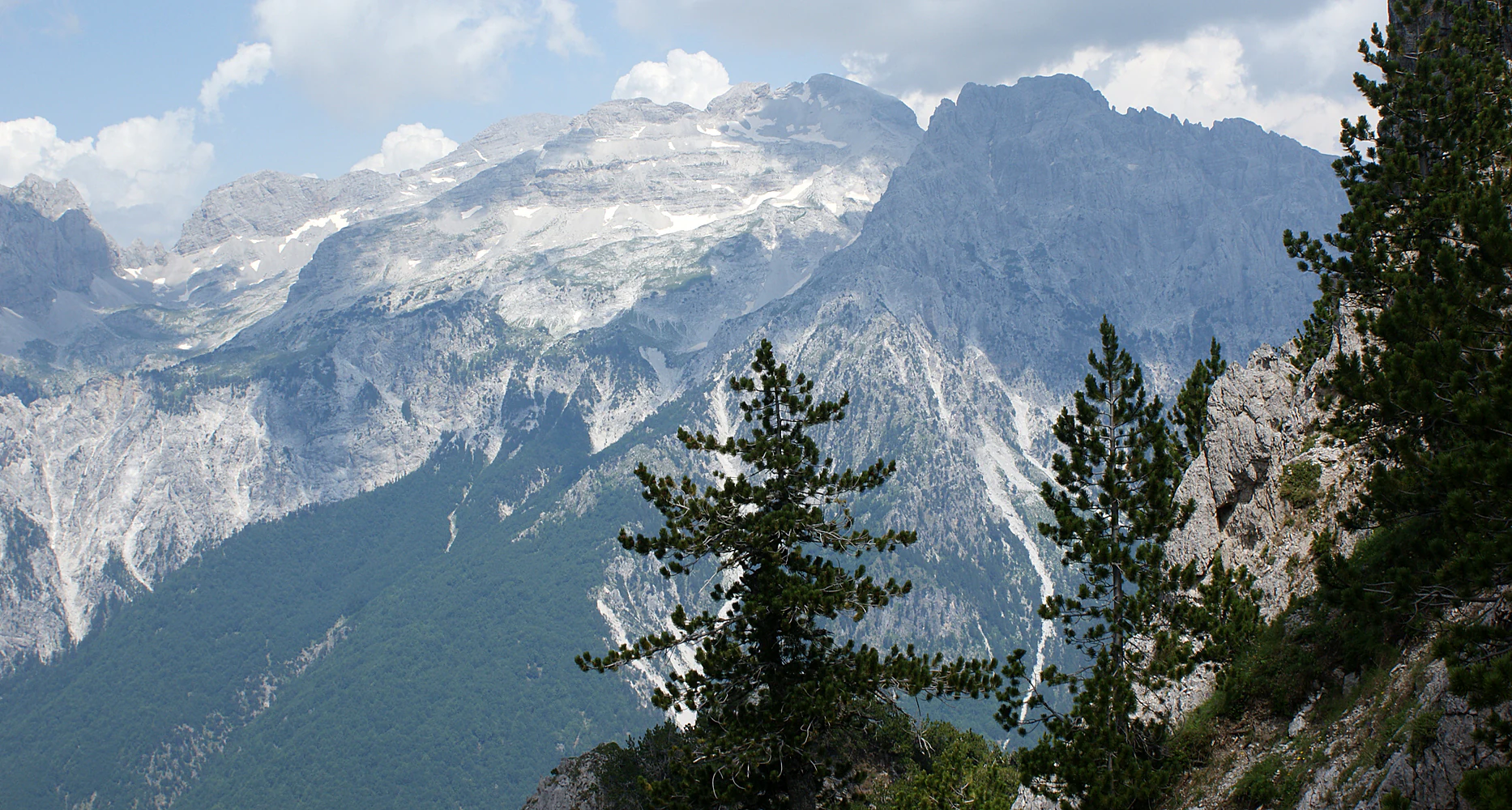 Panoramic view of high, rocky mountain peaks and deep valleys in the Accursed Mountains, with evergreen trees in the foreground.