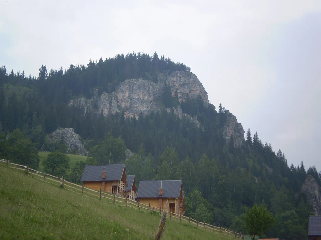 A view of wooden houses built on a grassy hillside, backed by a steep, pine-covered rocky mountain slope under an overcast sky.