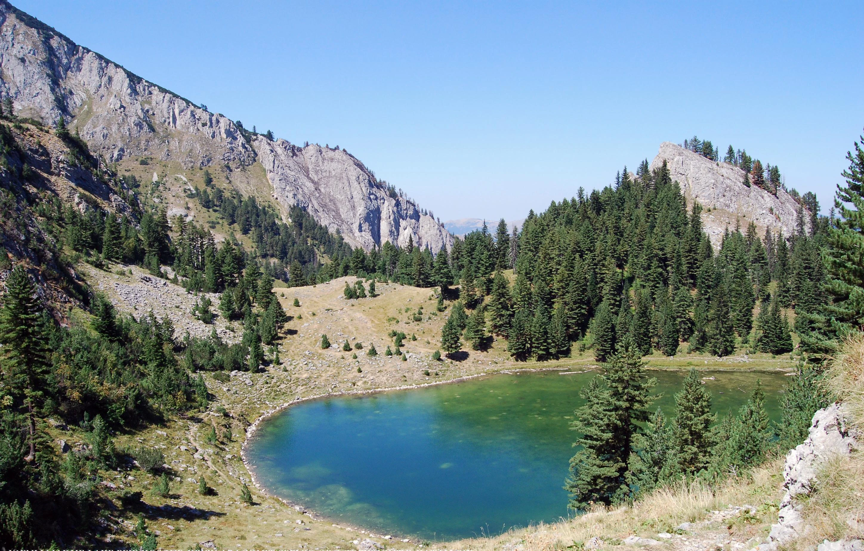 A high-angle view of a small, vibrant blue-green alpine lake surrounded by steep rocky slopes and coniferous pine forests in the Accursed Mountains.