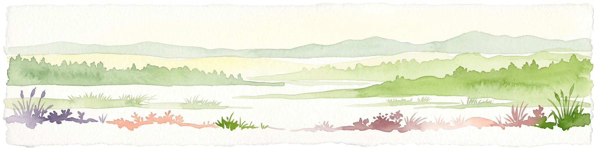 A watercolor painting showing a wide coastal scene with green low-lying hills in the distance, a calm body of water in the middle, and varied vegetation in the foreground.