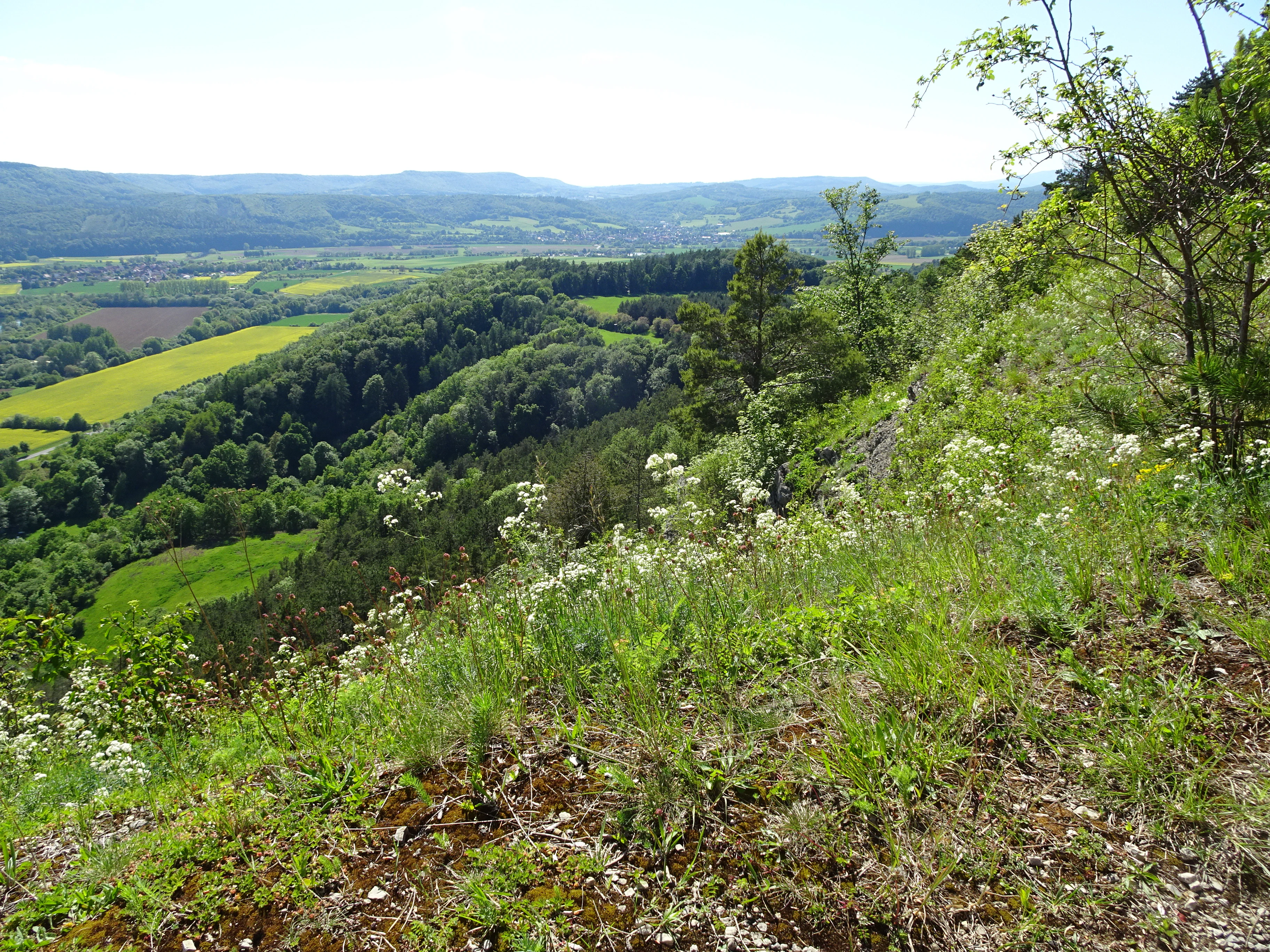 Vista de gran angular desde una ladera cubierta de hierba que domina un valle verde con parches de bosque, campos agrícolas y colinas onduladas en la distancia.
