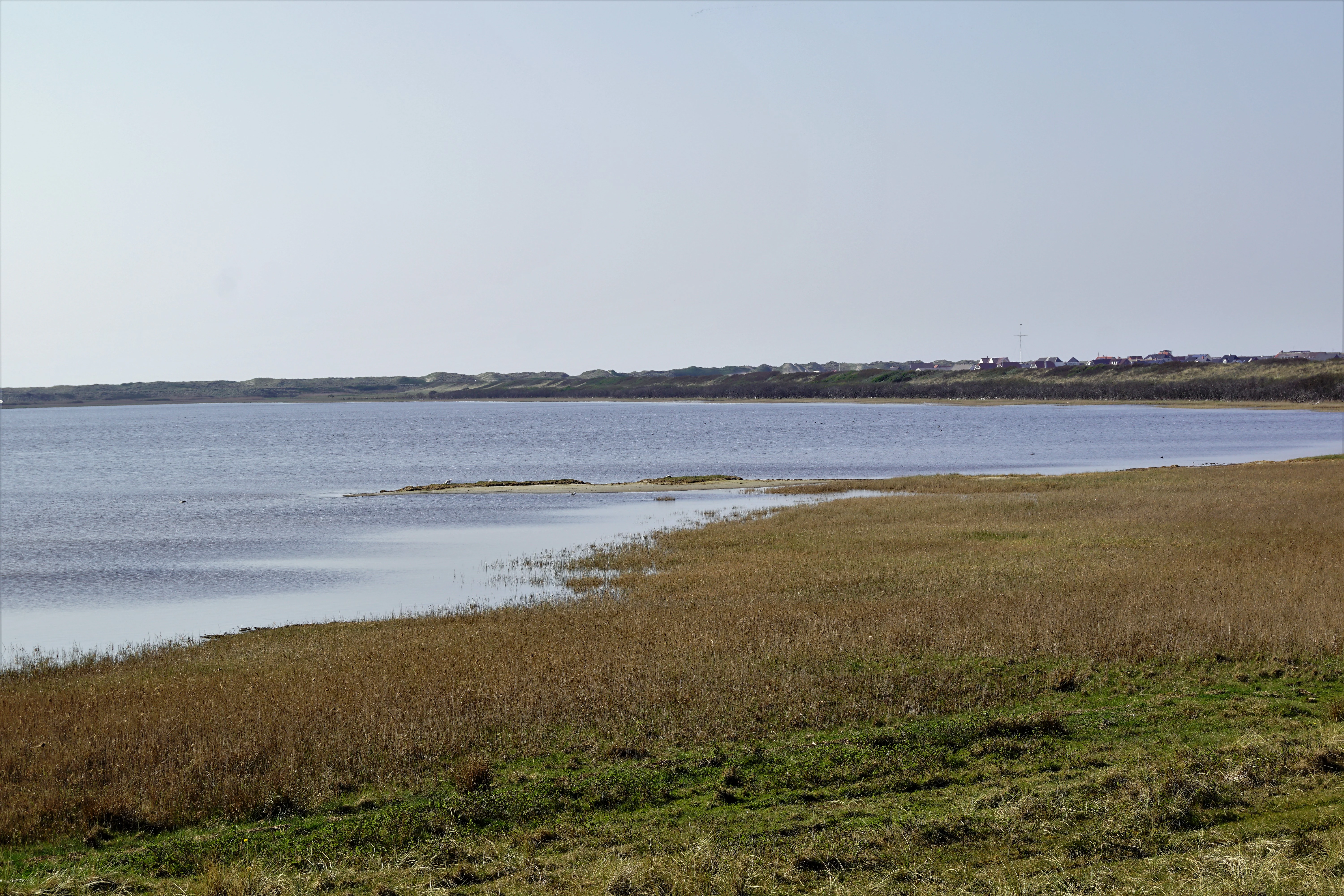 A wide landscape view of a coastal wetland with a calm body of water, a grassy shoreline in the foreground, and a distant low-lying horizon.