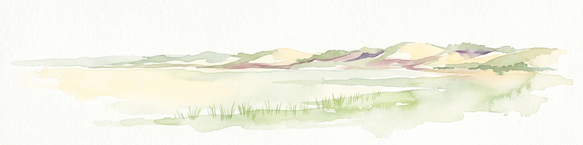 A soft watercolor painting depicting a flat, open coastal landscape with rolling, pale-colored dunes in the distance and muted green grasses in the foreground against a white background.
