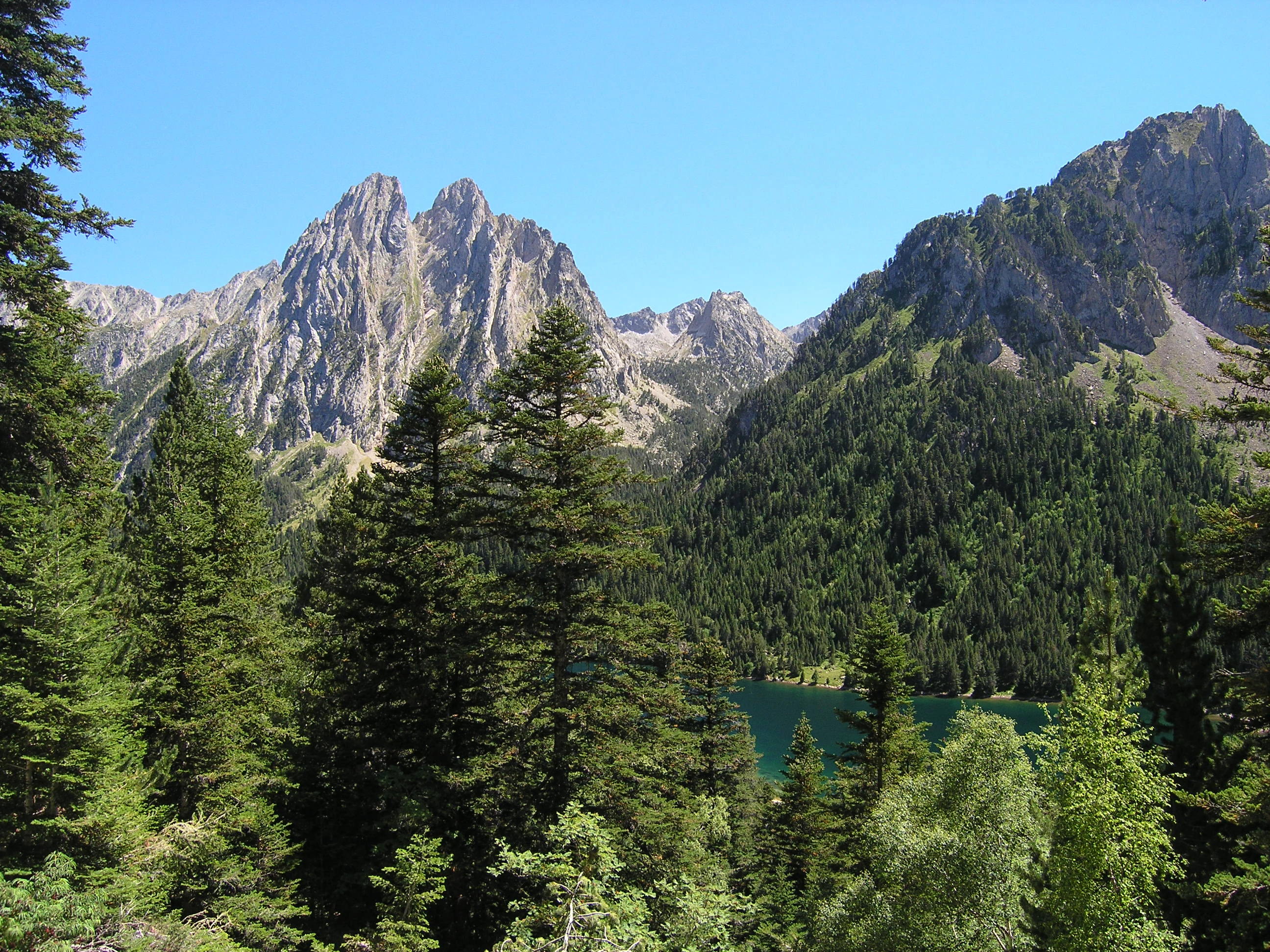 A landscape view of Sant Maurici Lake with mountain peaks in the background and dense evergreen forests in the foreground under a clear blue sky