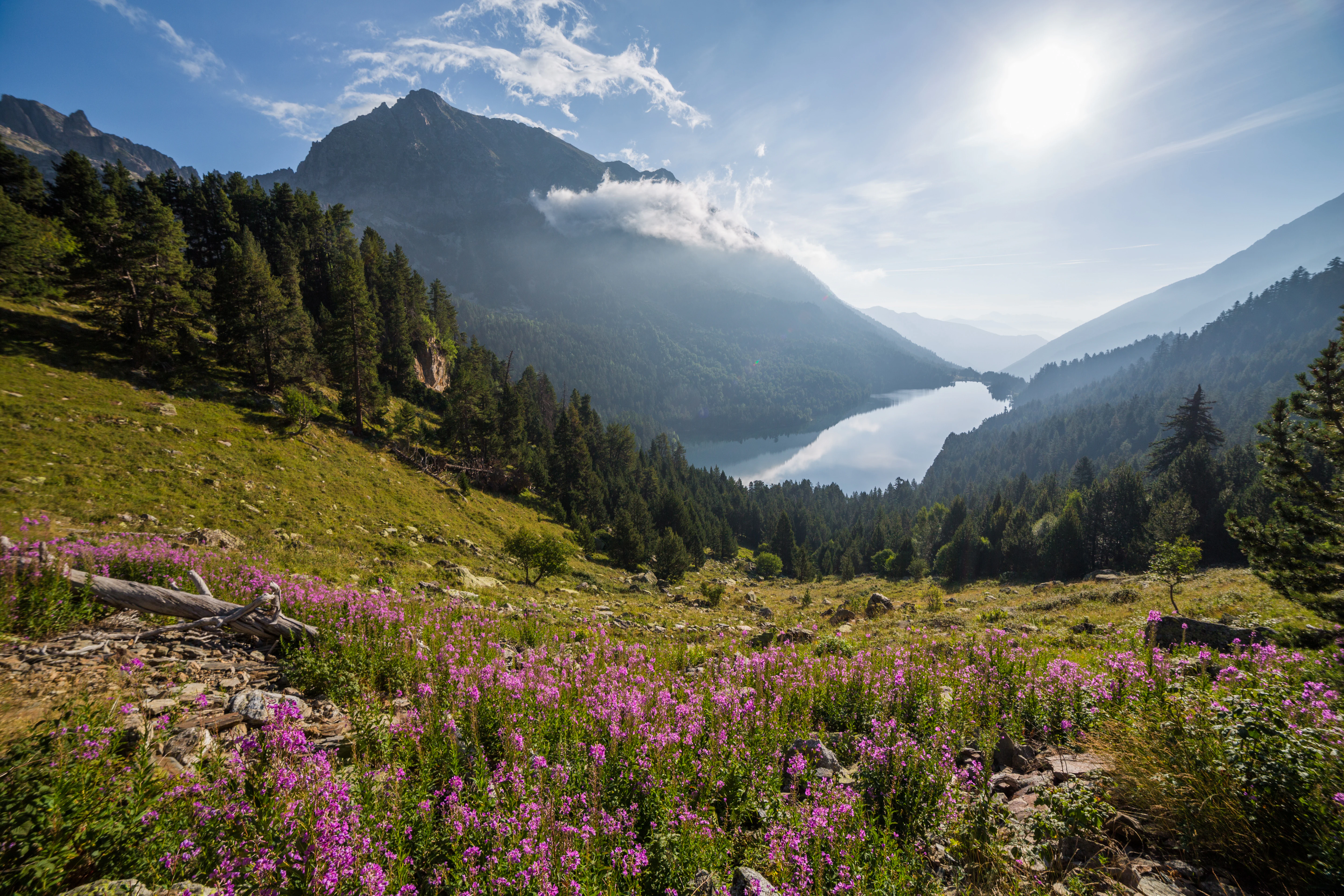 A scenic view of a mountain lake with purple wildflowers in the foreground, forested slopes, and snow-capped peaks under a partly cloudy sky
