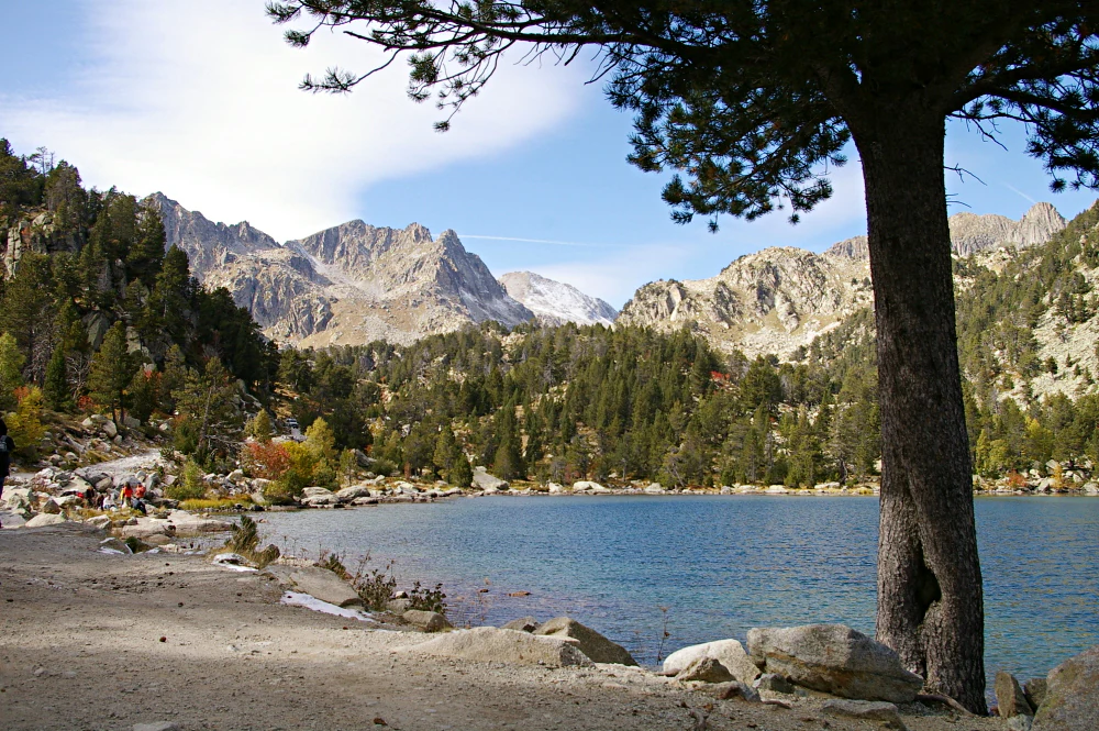 A blue lake with rocky and sandy shores, surrounded by forested mountains under a partly cloudy sky with a large pine tree in the foreground