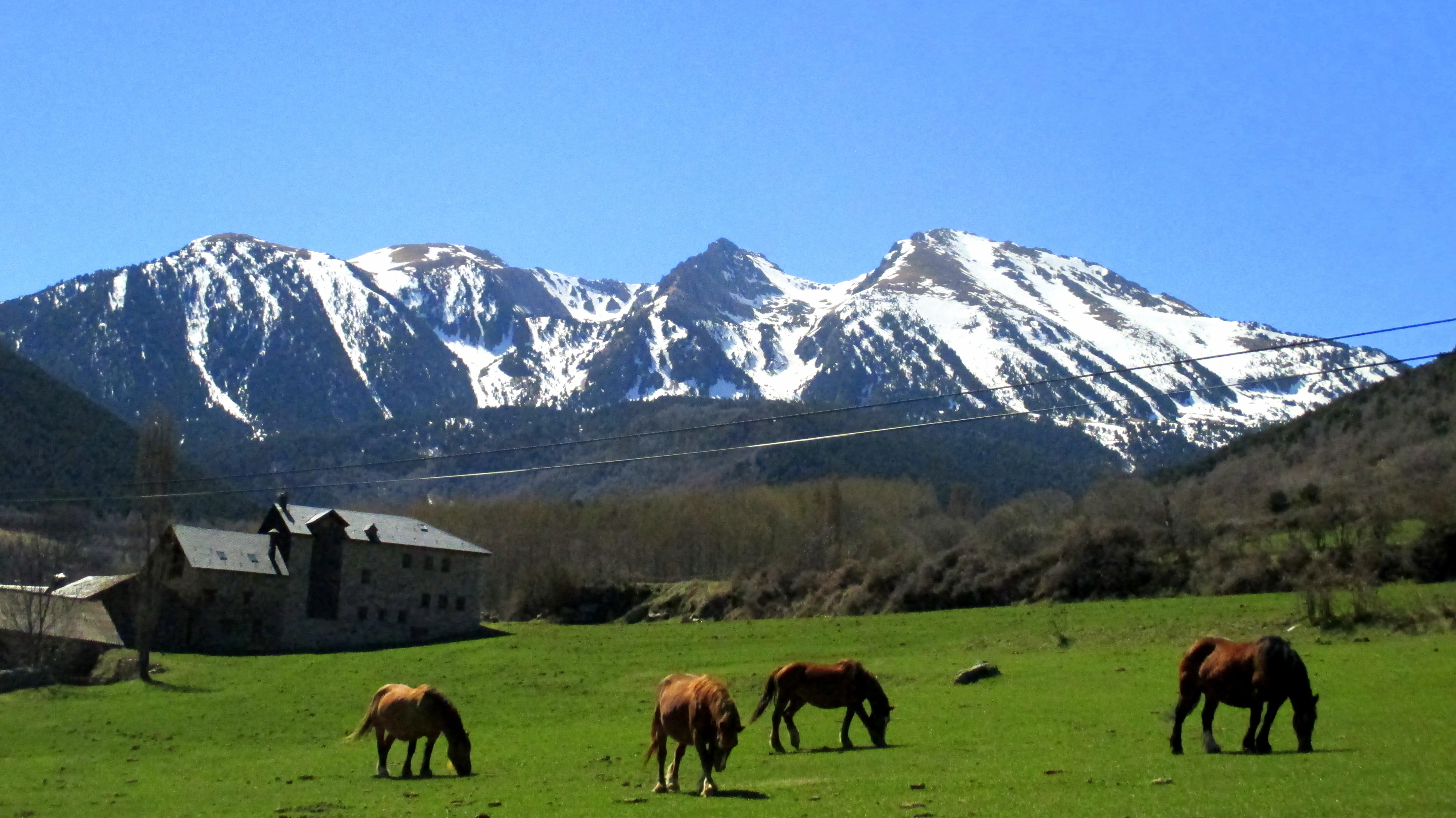 Green pasture with brown horses grazing, stone building, and snow-capped mountains under clear blue sky