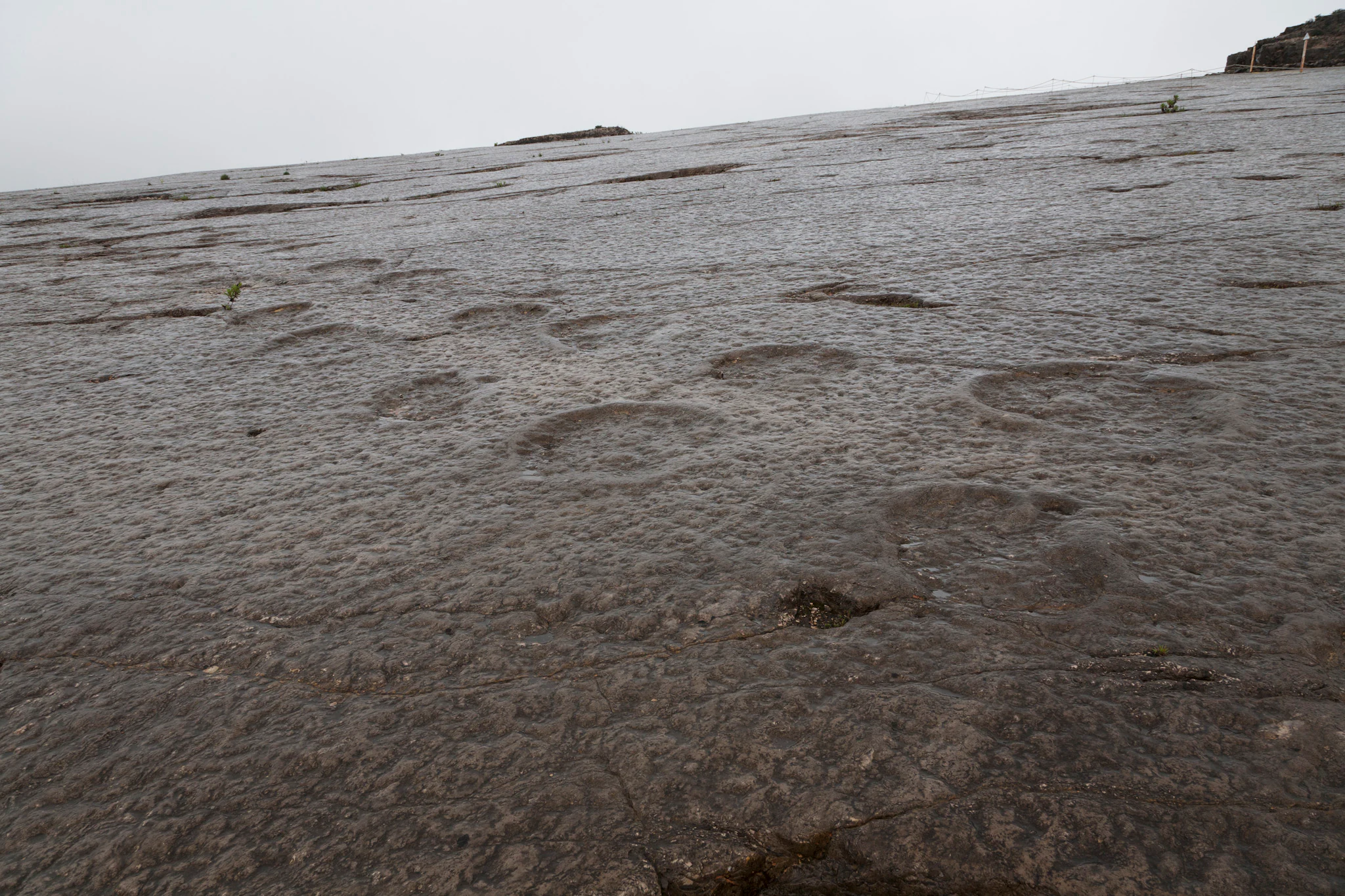 Circular indentations resembling dinosaur footprints on a rocky surface