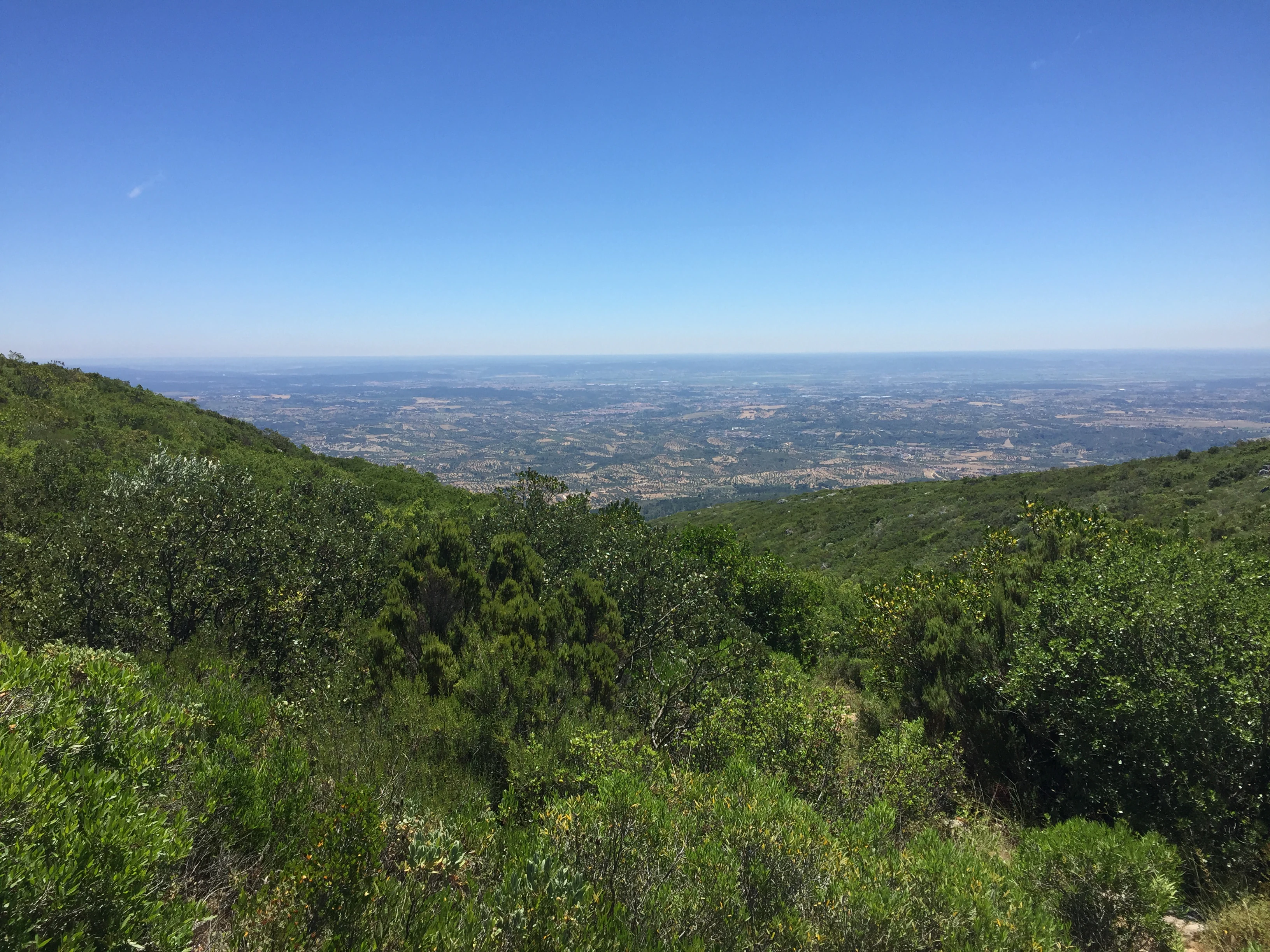 Lush green hills and valleys under a clear blue sky with distant plains visible.