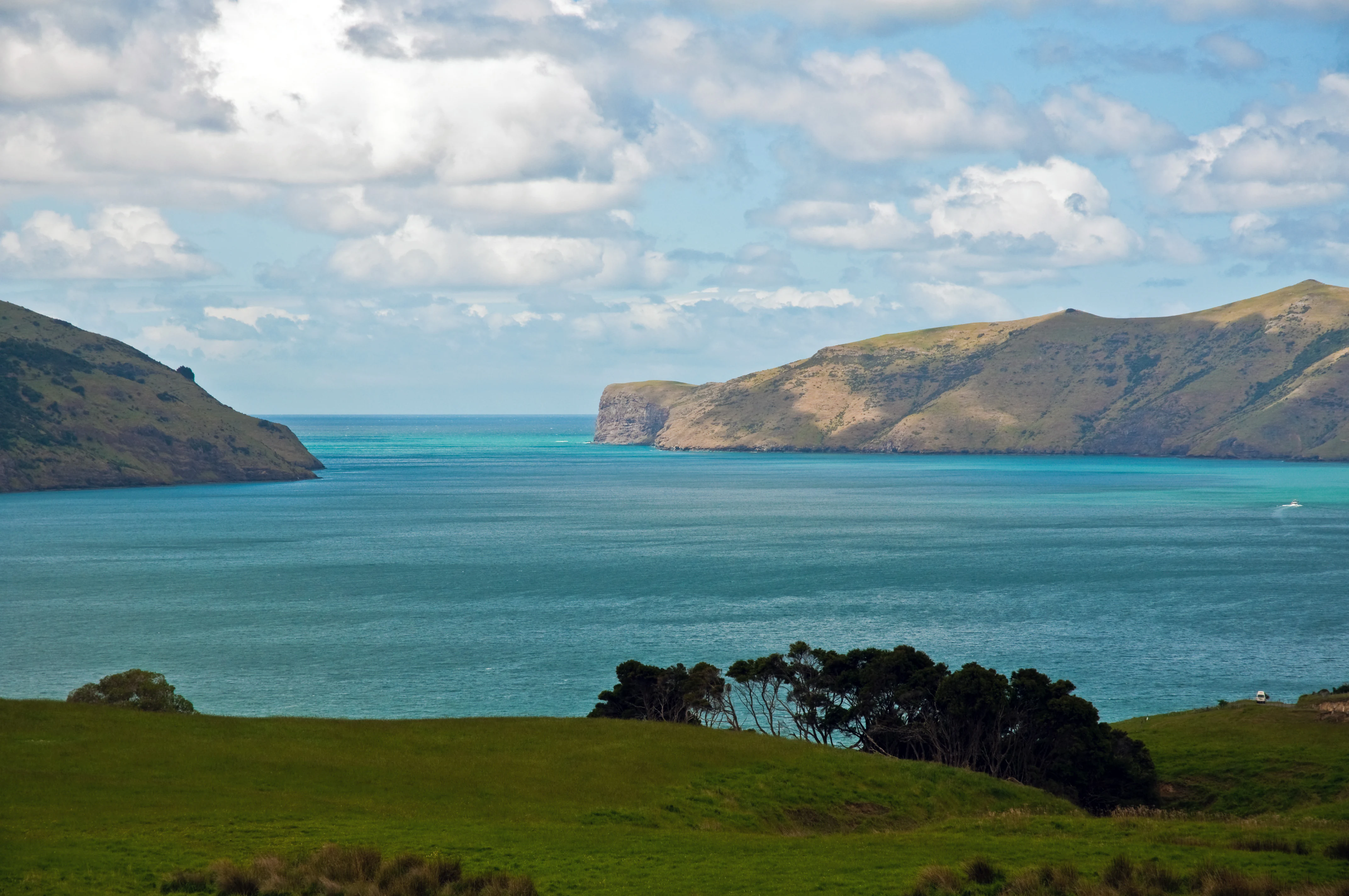 A wide coastal view of the entrance to Akaroa Harbour with deep blue water, rolling green hills on both sides, and a cloudy sky.