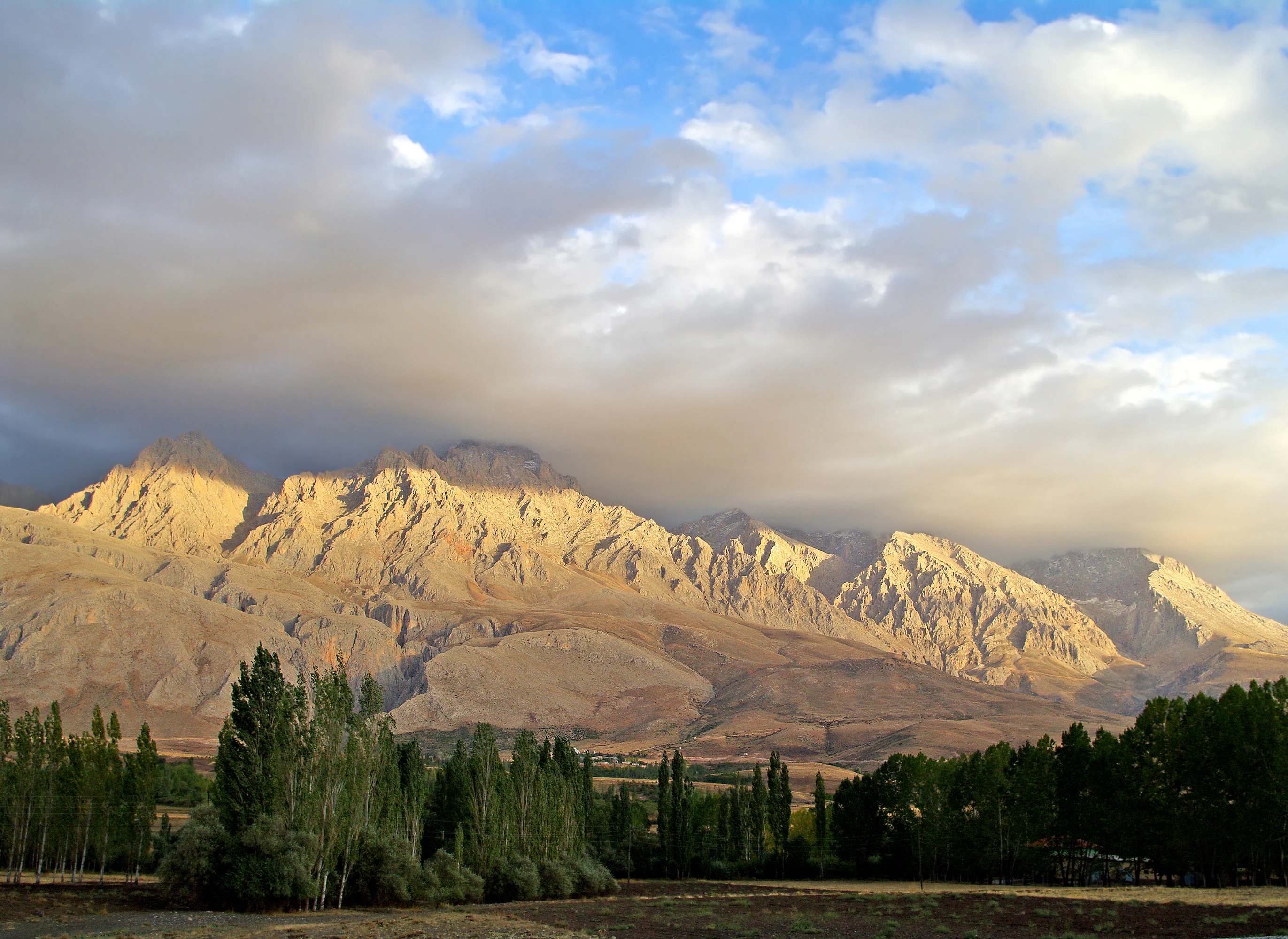 Mountain range with golden light during evening, trees in foreground, partly cloudy sky