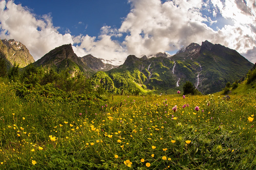 Yellow and pink wildflowers in a meadow with green mountains and waterfalls under a partly cloudy sky