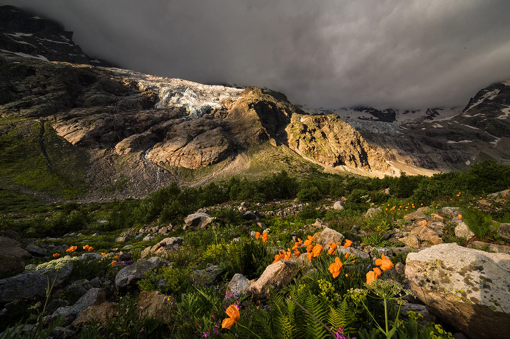 Mountain landscape featuring wildflowers in foreground, rocky terrain, and glacier on mountain peak under cloudy sky