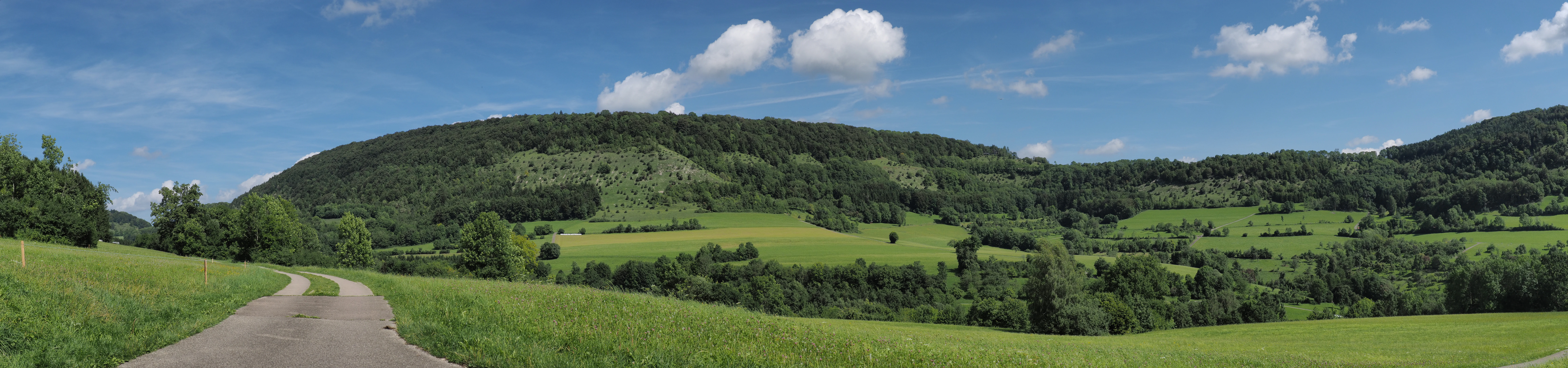 Wide panoramic landscape showing a paved road leading through green meadows toward forested rolling hills under a blue sky with scattered white clouds