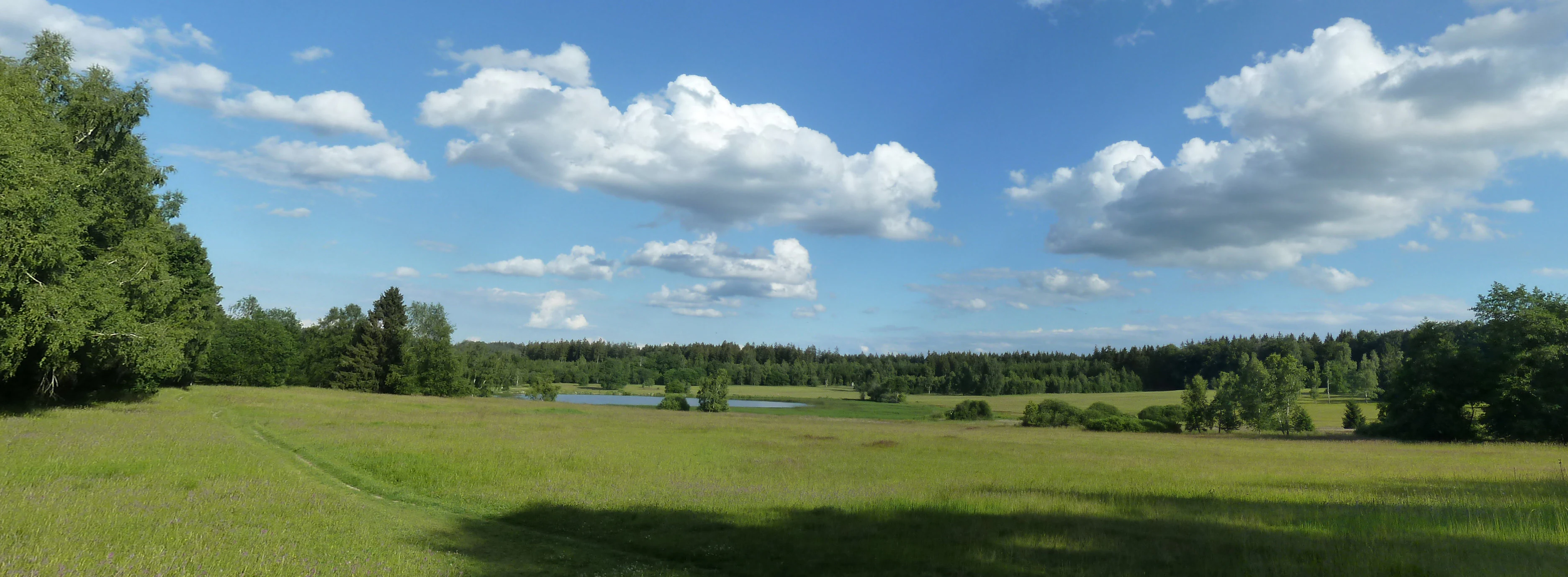 A wide, grassy meadow landscape under a blue sky with scattered clouds, bordered by a line of trees and featuring a small pond in the distance.