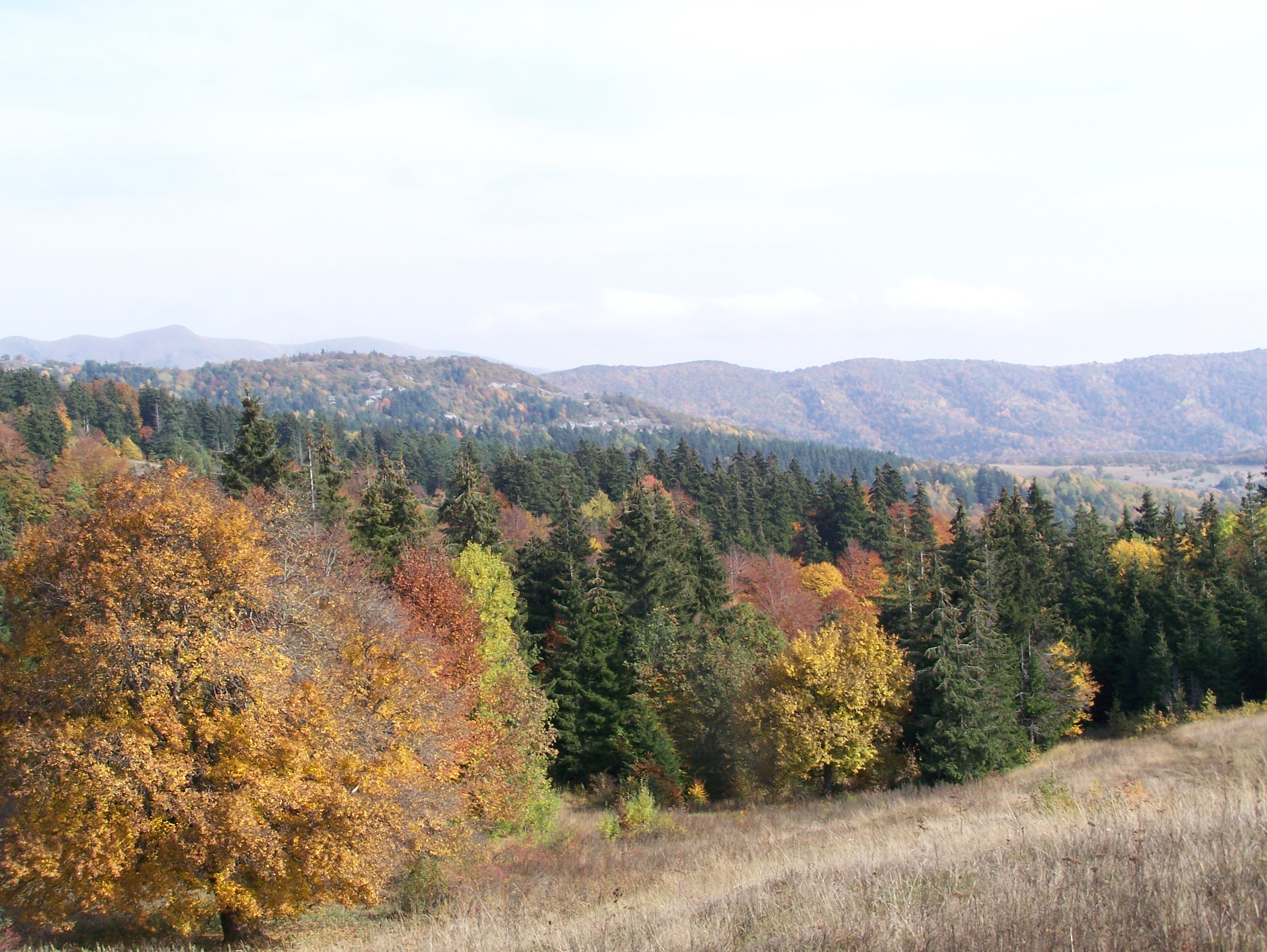 Colorful deciduous trees, evergreen forest, and distant hills under a partly cloudy sky.