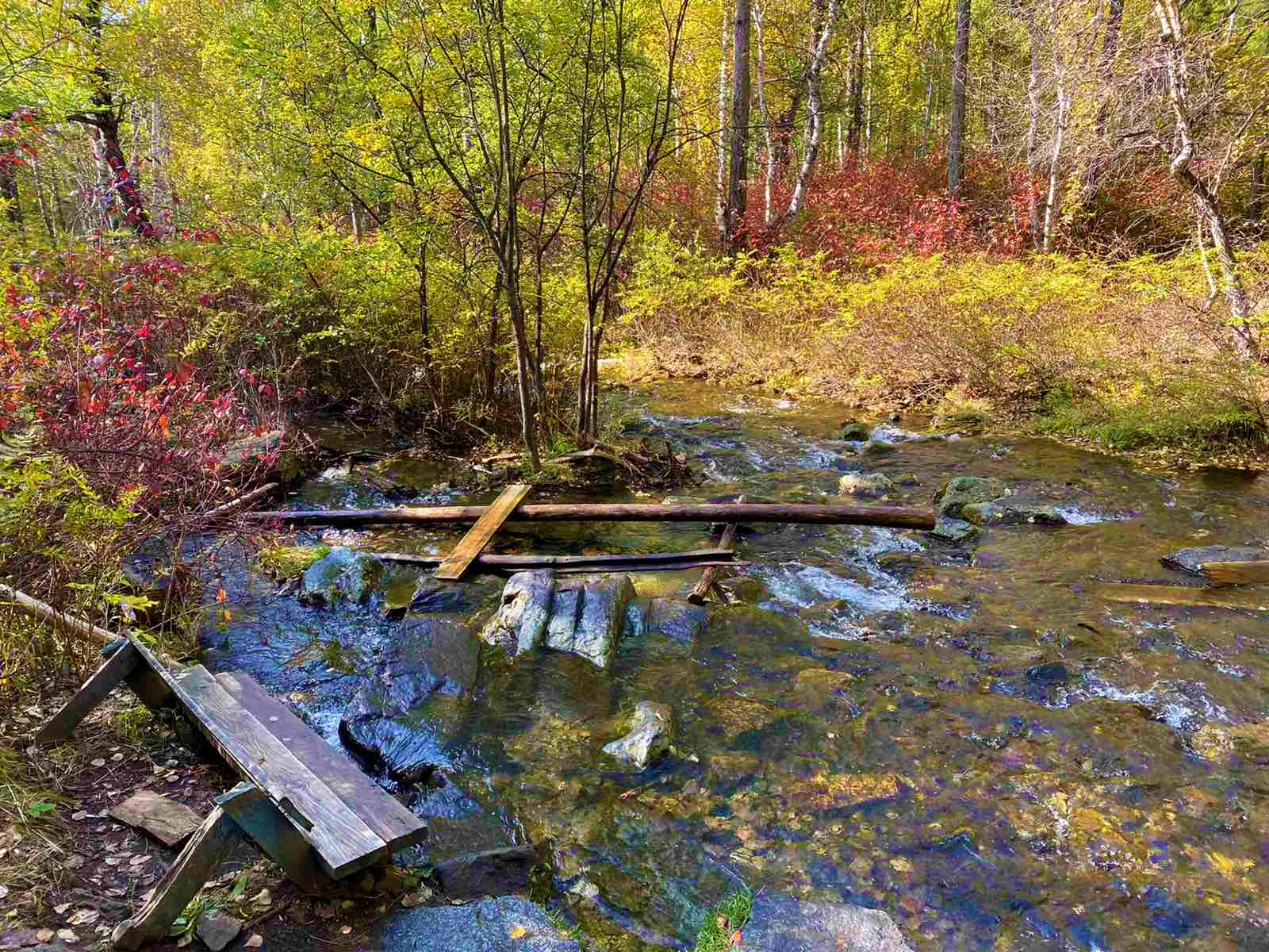 Un arroyo poco profundo y cristalino fluye a través de un bosque otoñal, con un banco de madera rústico parcialmente sumergido en la orilla del agua.