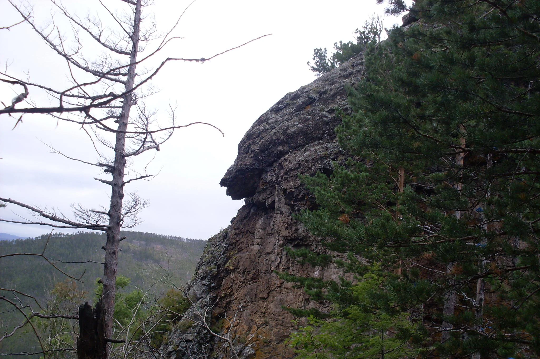 Una formación rocosa escarpada con una prominente protuberancia con forma de perfil, rodeada de árboles coníferos y un árbol desnudo y esquelético en primer plano bajo un cielo nublado.