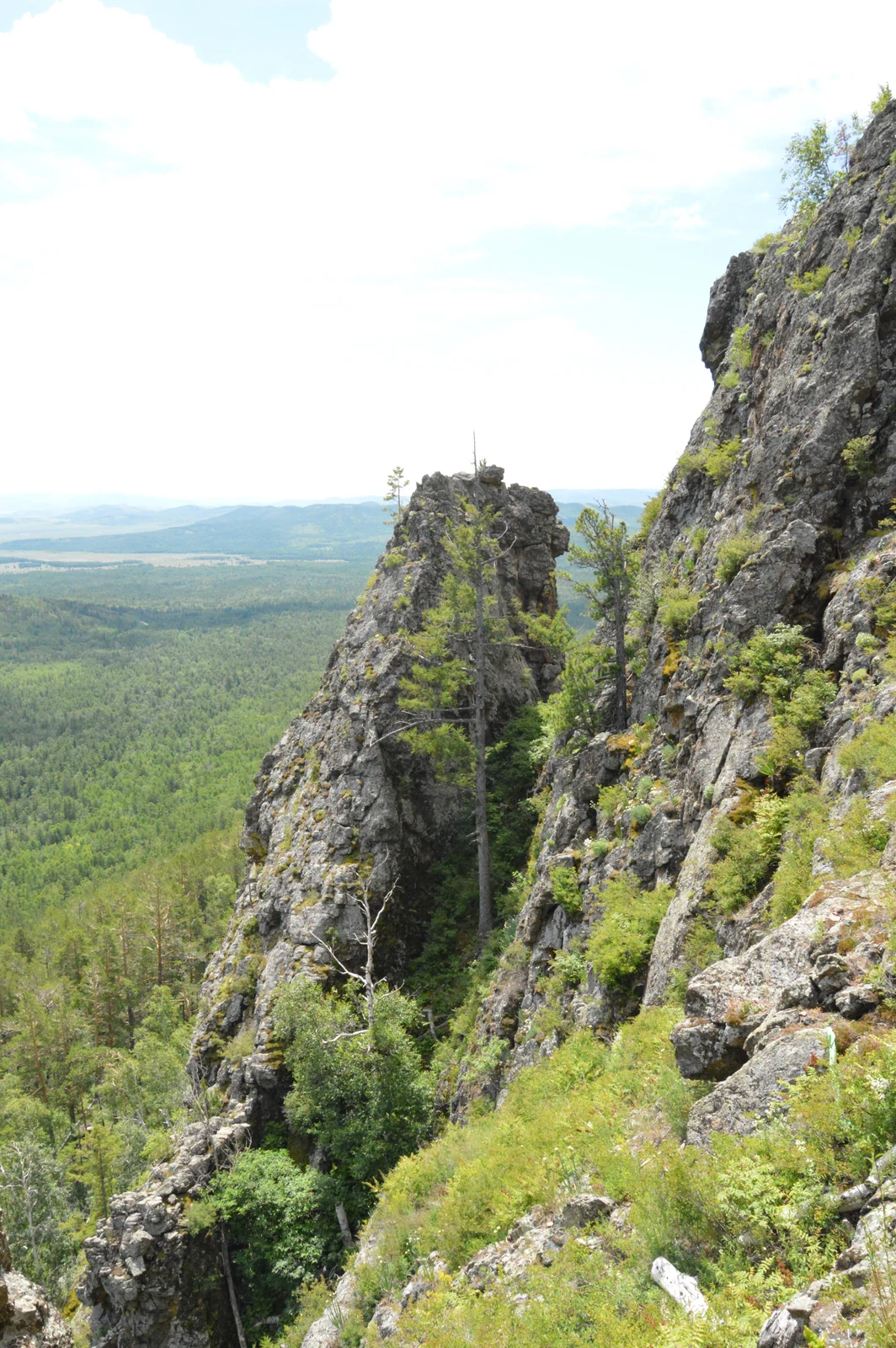 Rocky mountain peak with sparse trees overlooking a forested valley under partly cloudy sky