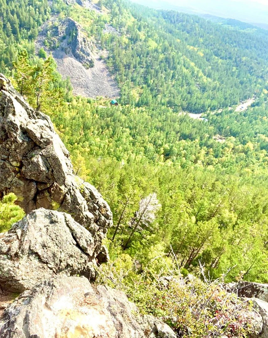 Rocky outcrops in foreground with dense green forest and mountain slope in background