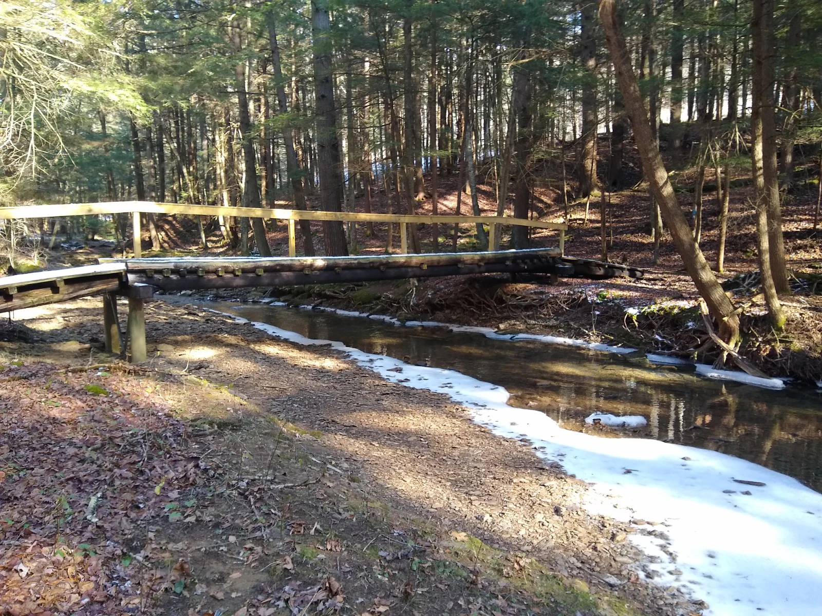 A simple wooden footbridge with a handrail spans a small, shallow stream in a wooded area, with fallen leaves covering the forest floor.