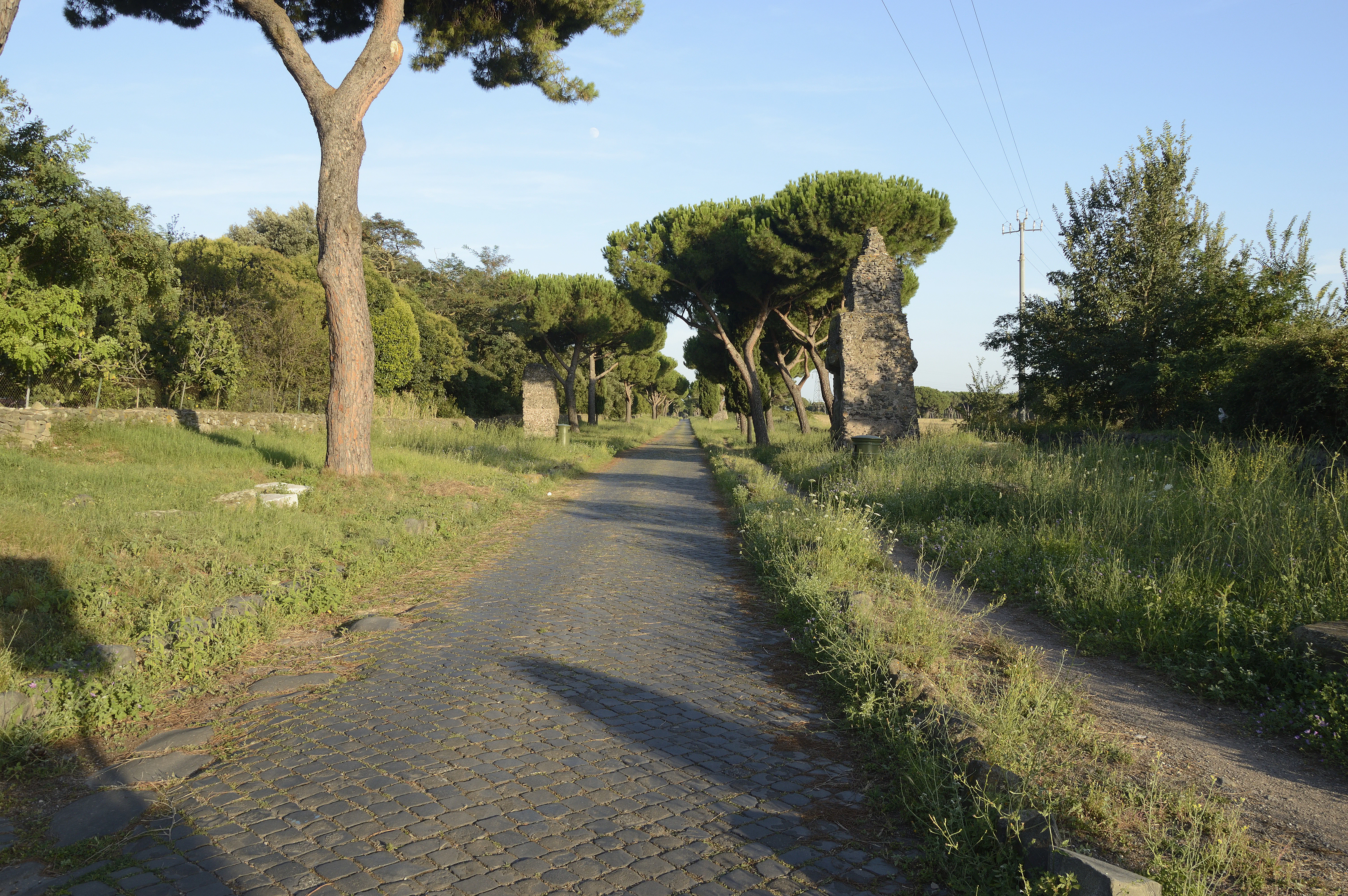 A cobblestone road extending into the distance, flanked by trees and grassy areas under a clear blue sky