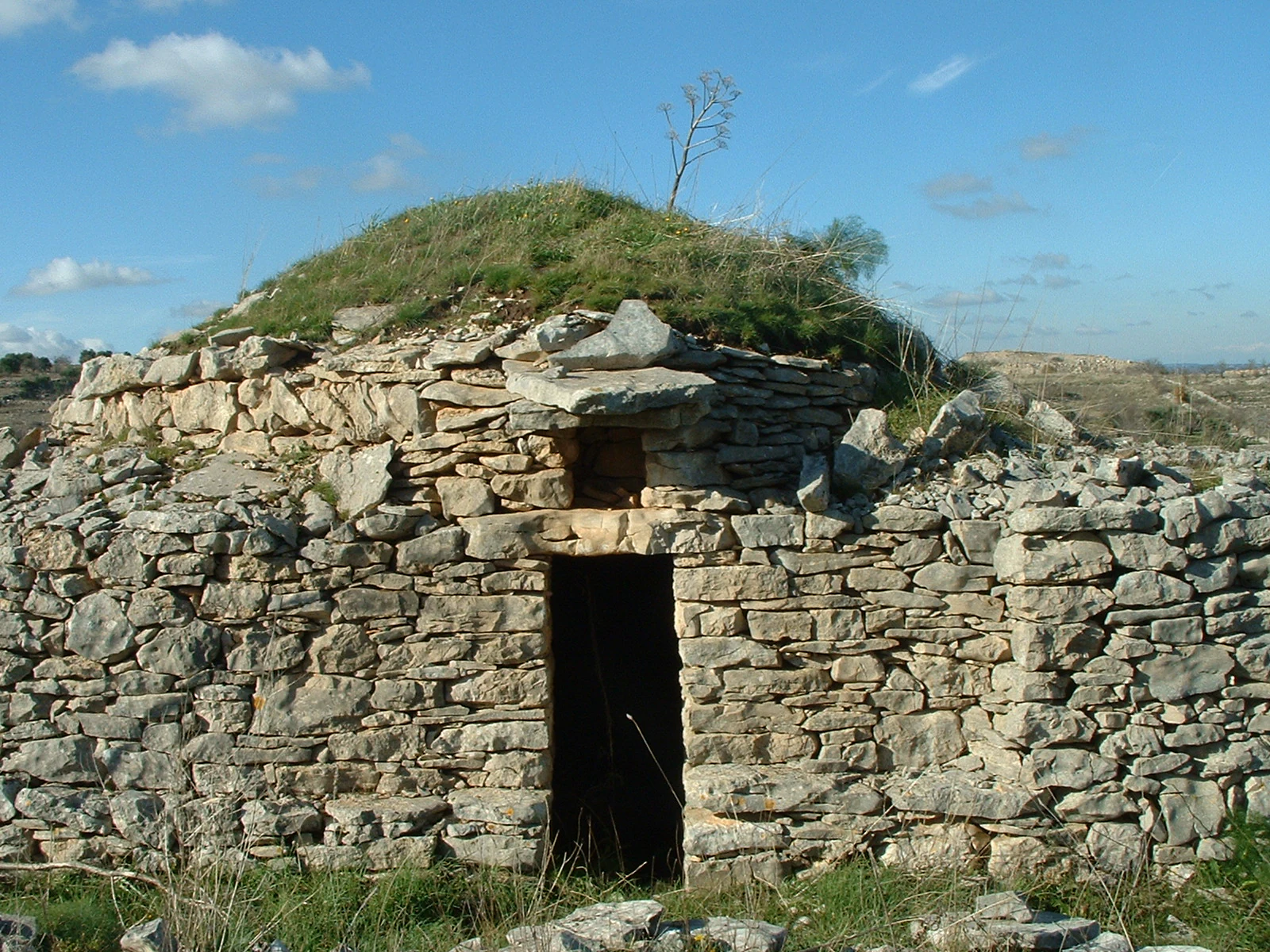 Stone trullo with conical grass-covered roof and dark entrance surrounded by grassy terrain under clear blue sky