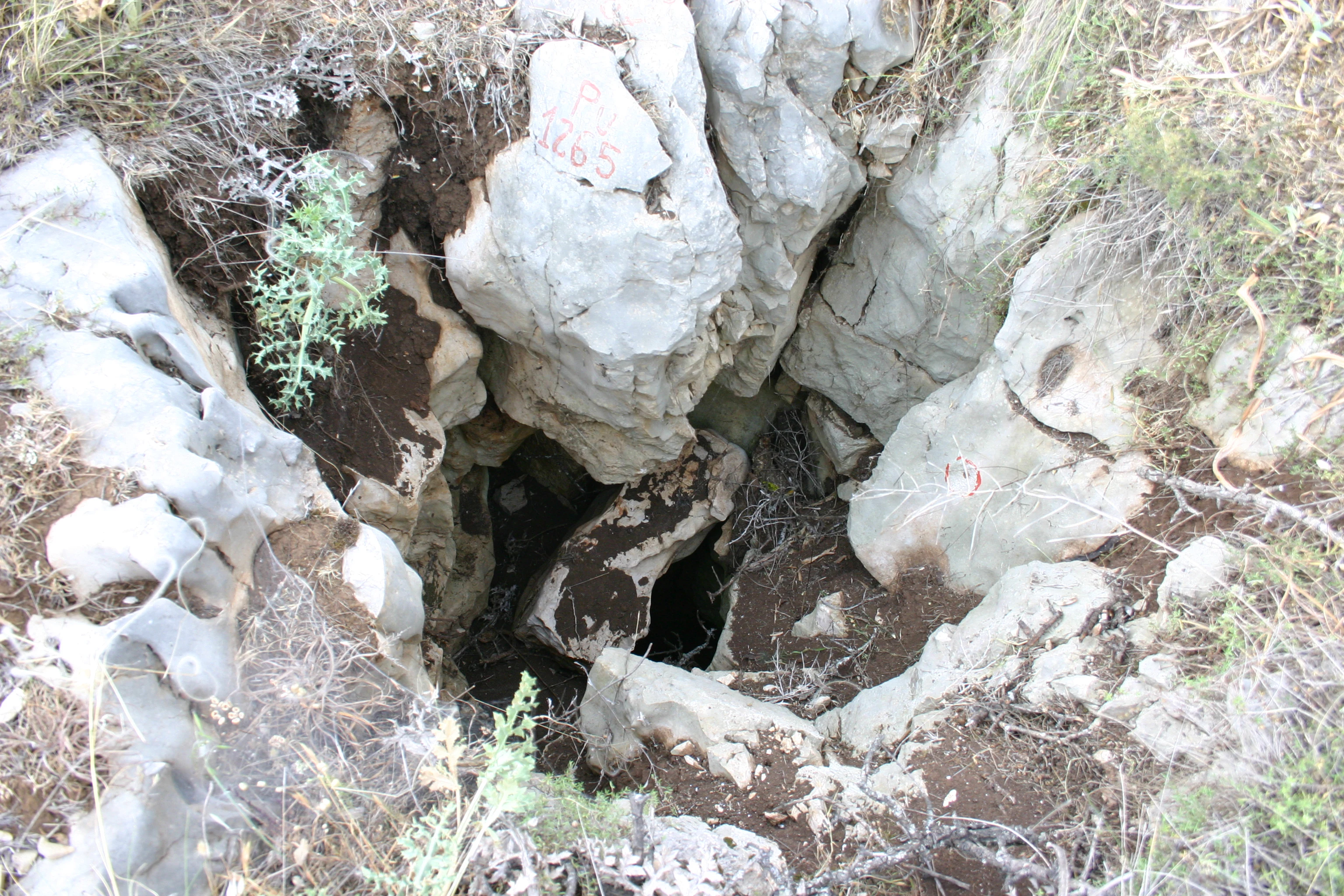 Mouth of a sinkhole surrounded by rocky terrain and sparse vegetation