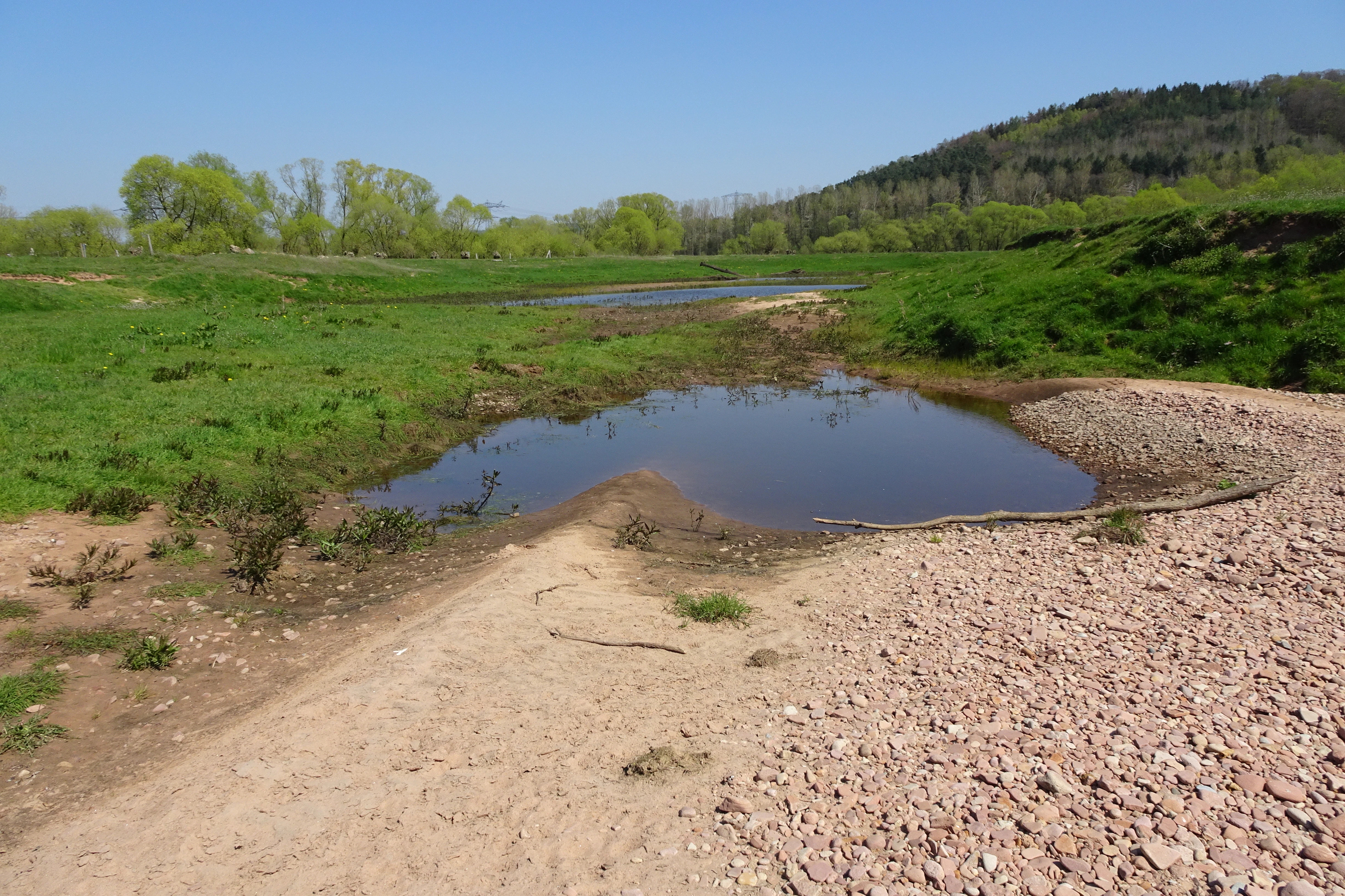 A wide landscape view of an oxbow lake with a stony, light-colored bank in the foreground, green grasses, and a forested hill in the background under a clear blue sky.