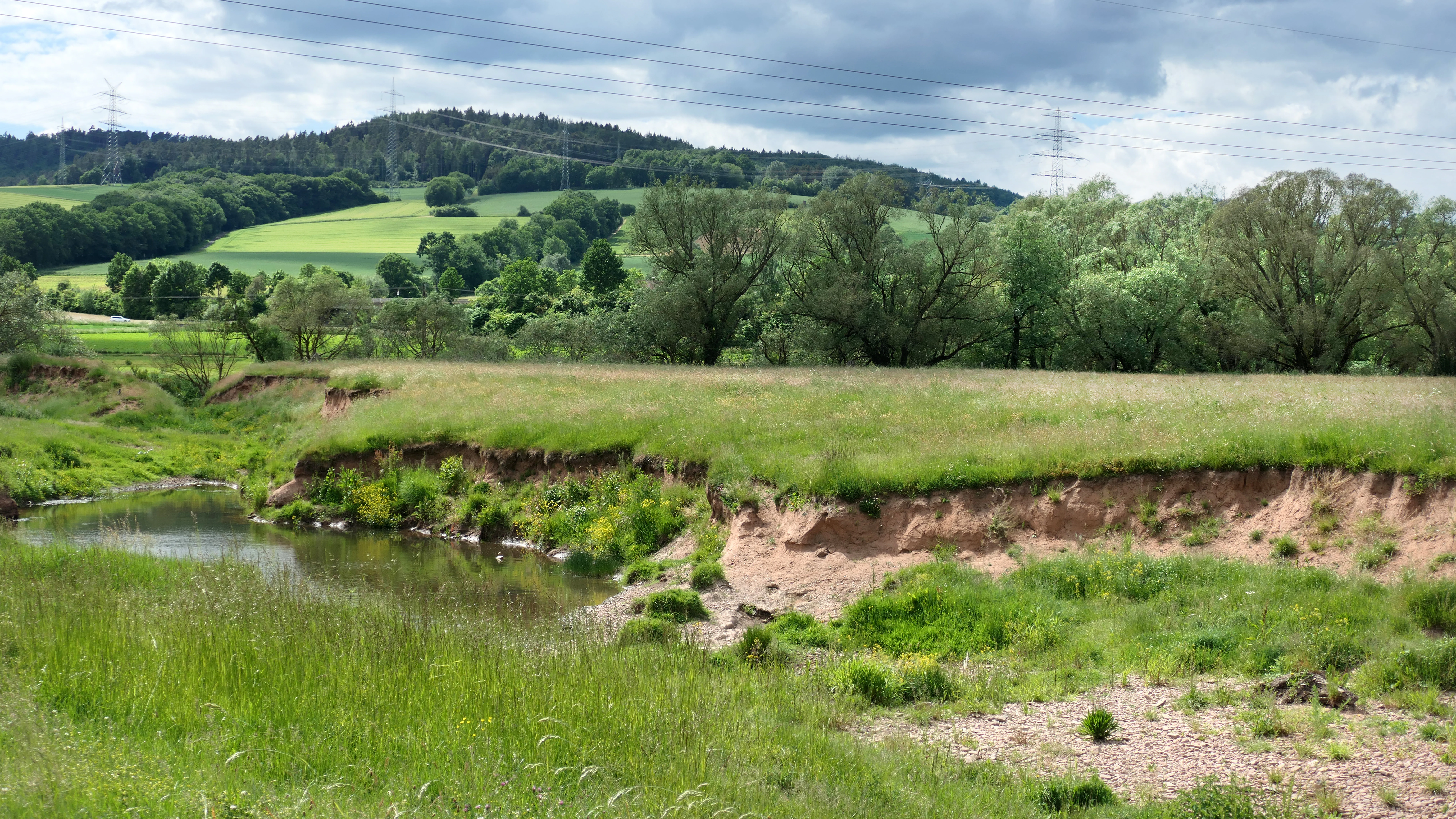 A wide view of a grassy riverbank and small oxbow wetland area under a partly cloudy sky, with rolling green hills and a forested slope in the background.