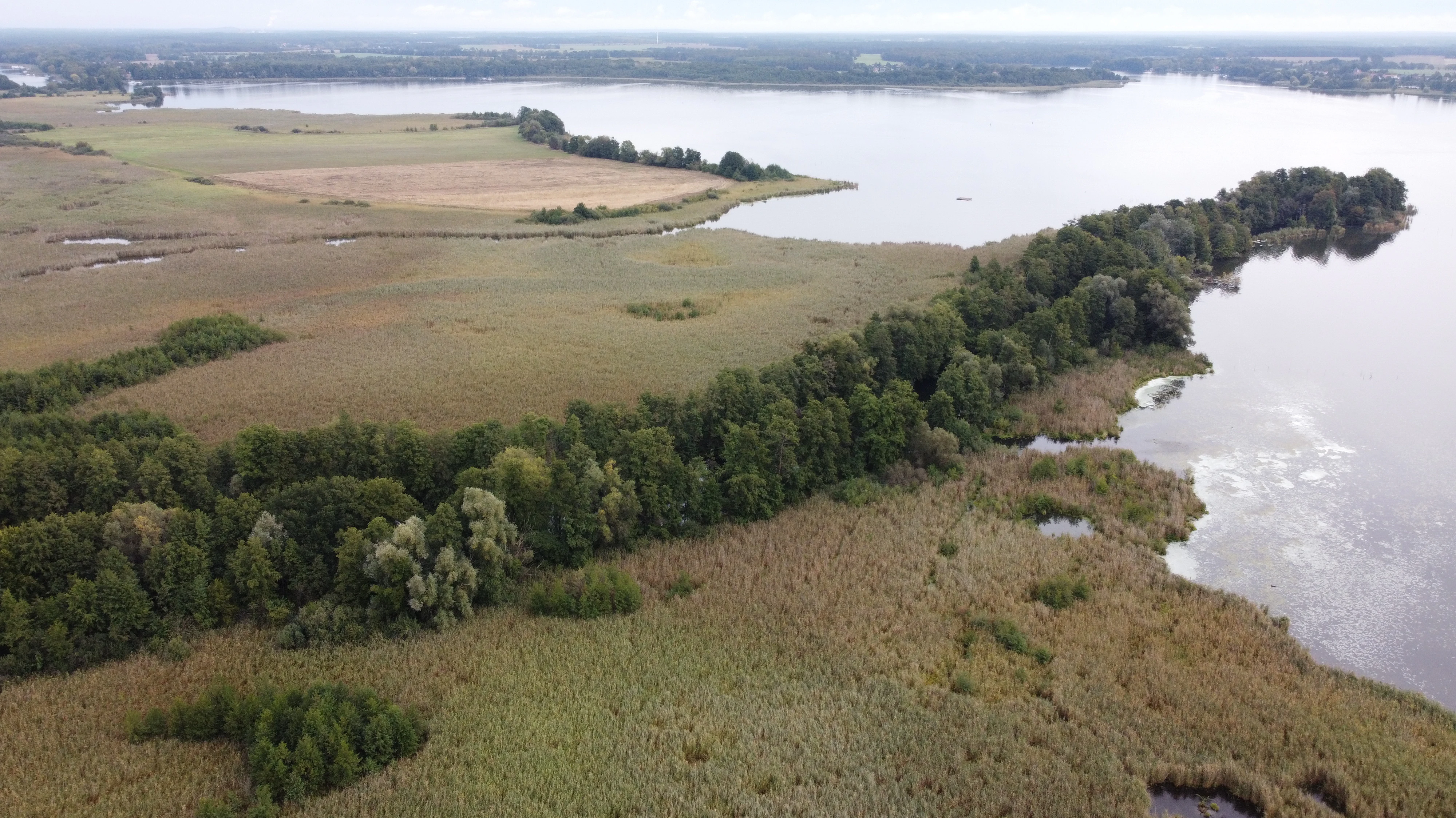 Una toma aérea de la reserva natural Alte Spreemündung que muestra una franja verde boscosa que divide los prados de la amplia extensión del Schwielochsee.