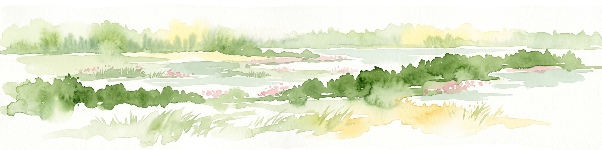 Una pintura en acuarela que muestra una vista panorámica de la desembocadura del río Spree con árboles verdes, juncos y zonas de agua pantanosa.