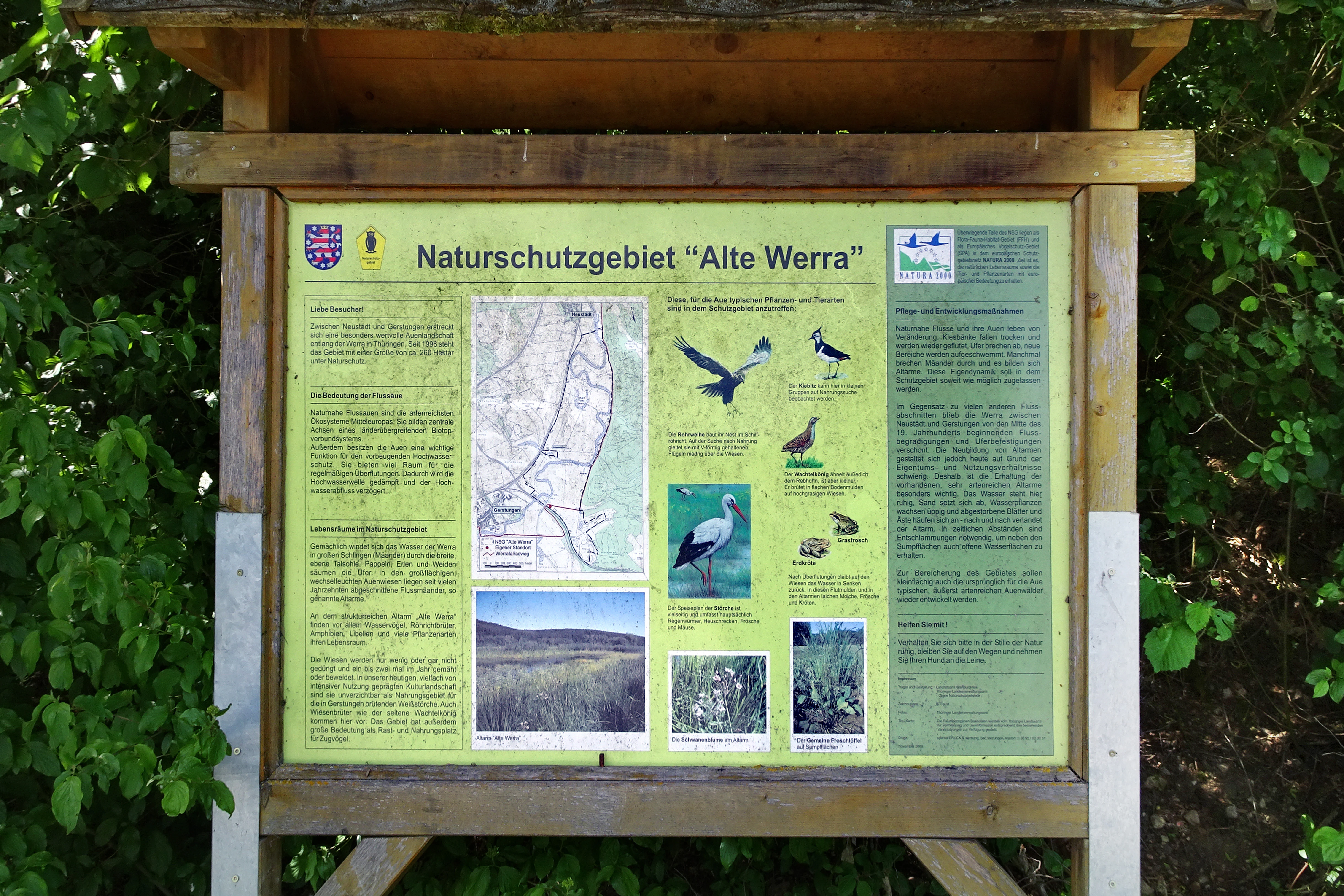 A wooden-framed information sign for the Alte Werra nature reserve, featuring a map, images of local wildlife, and explanatory text in German.