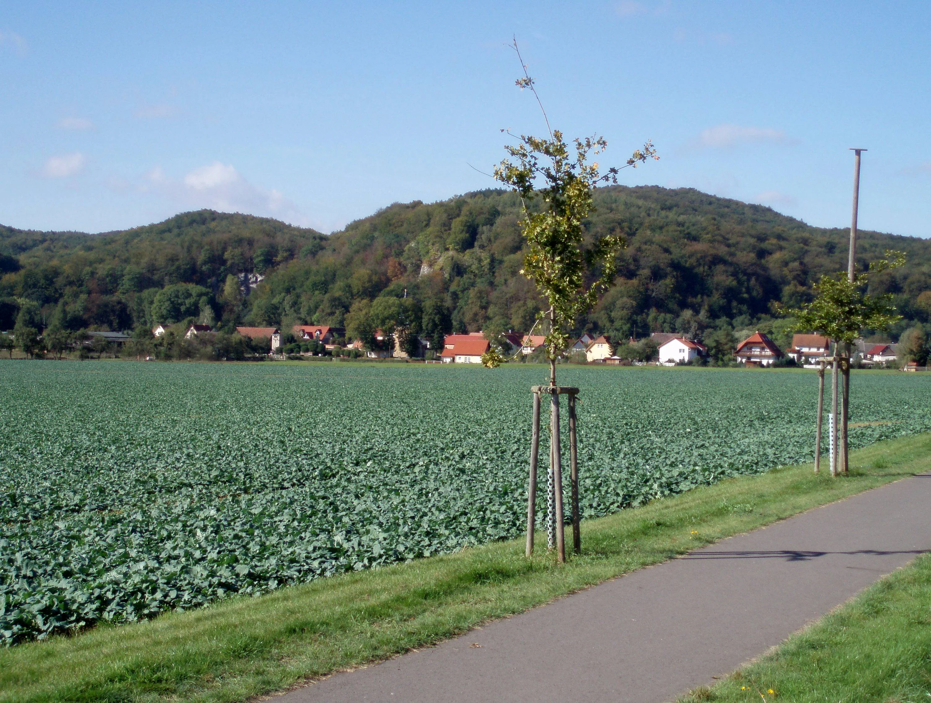 A rural view showing a paved pathway in the foreground beside a green agricultural field, with the small village of Stempeda and a forested hillside beyond under a clear sky.