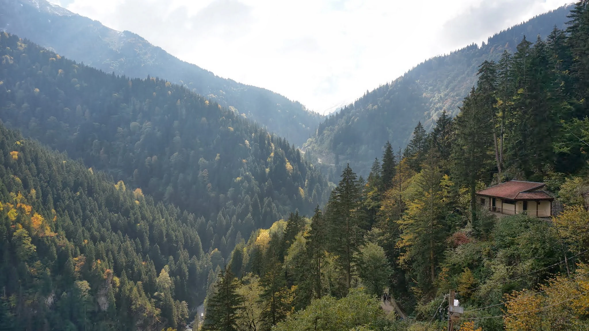 A wide valley between forested mountains with a small building on the slope