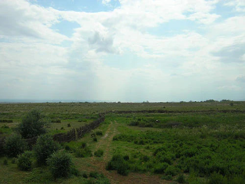 Wide grassy steppe landscape with scattered bushes and a stone wall under a partly cloudy sky