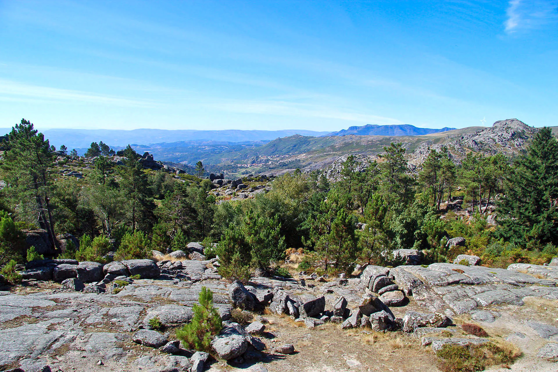 Wide landscape view showing rocky outcrops, scattered pine trees, and distant mountain ranges under a clear blue sky